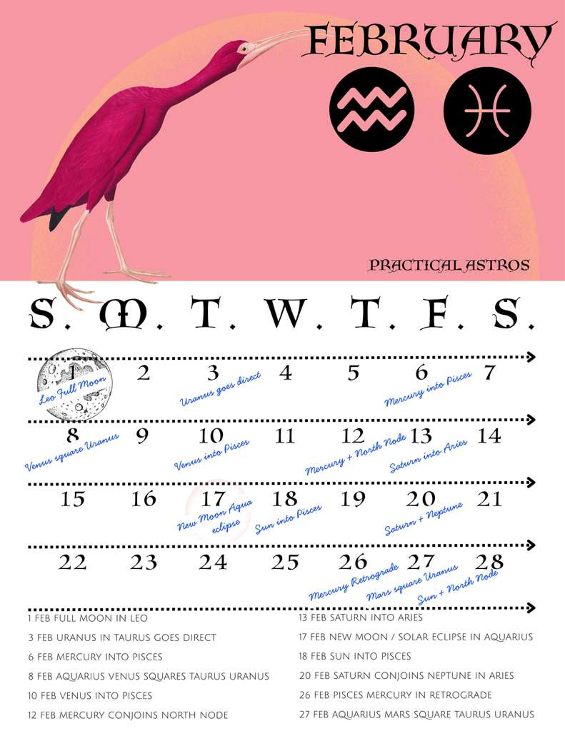 Celestia Astrology - Translating the Stars