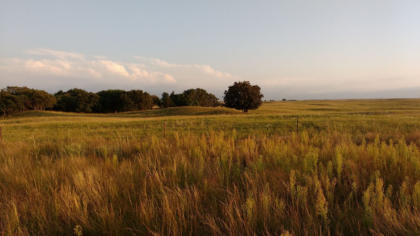 Marianne\'s FLASH💥DEVOS Podcast