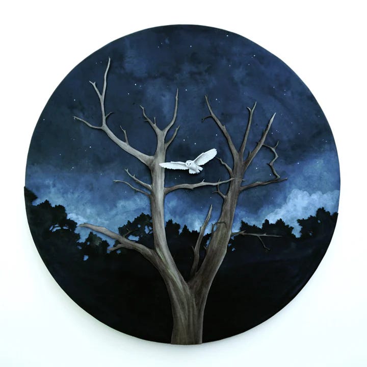 Flash💥Devos + Podcast