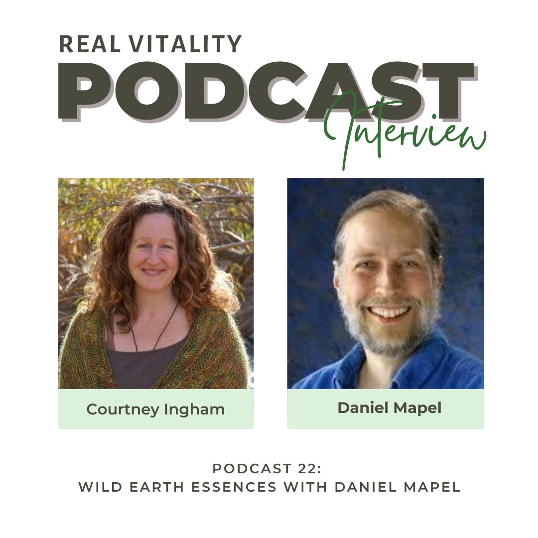 Wild Earth Essences with Daniel Mapel Wild Earth Essences with Daniel Mapel