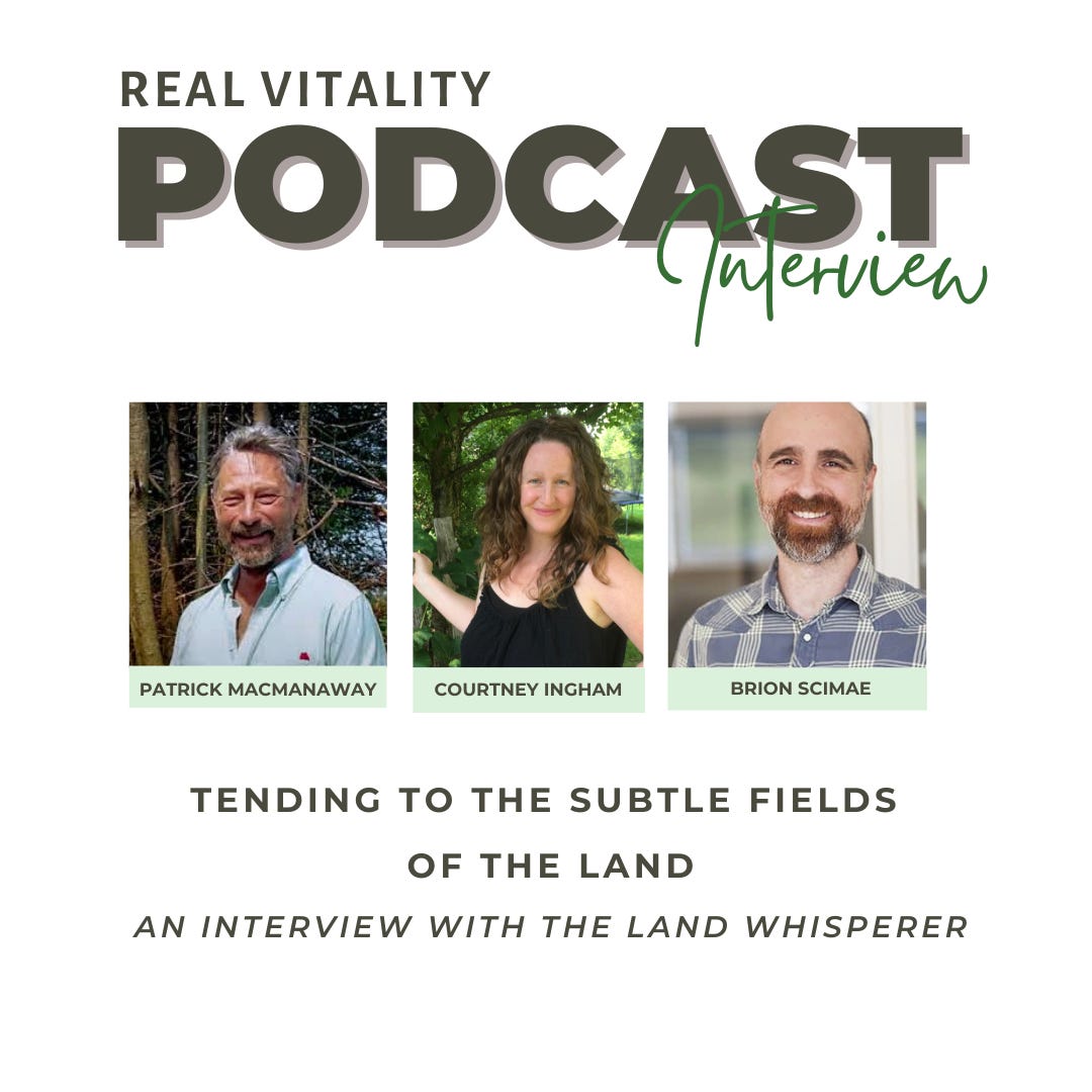 Tending to the Subtle Energy Fields of the Land Tending to the Subtle Energy Fields of the Land