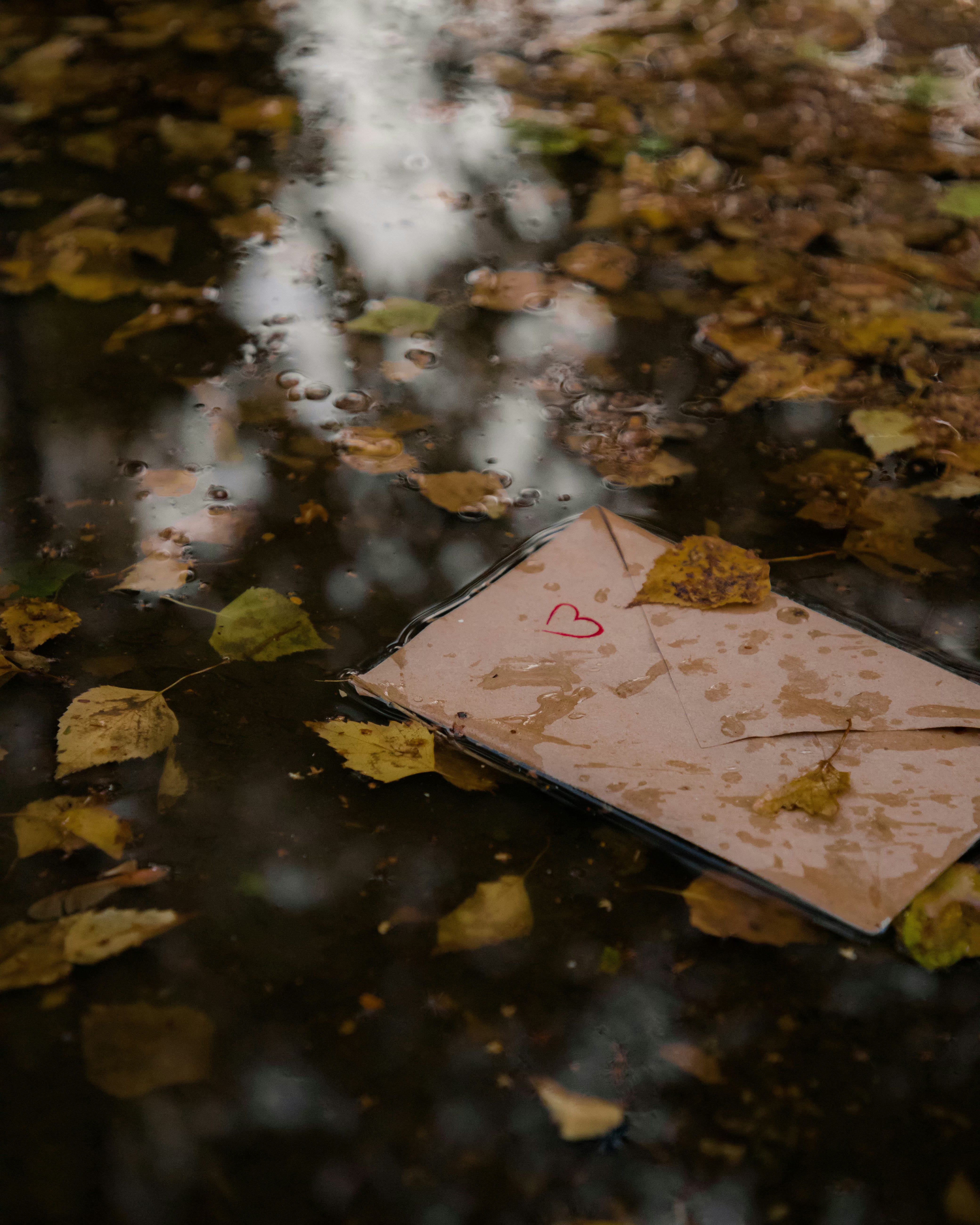 A love letter to you, my darling episode artwork