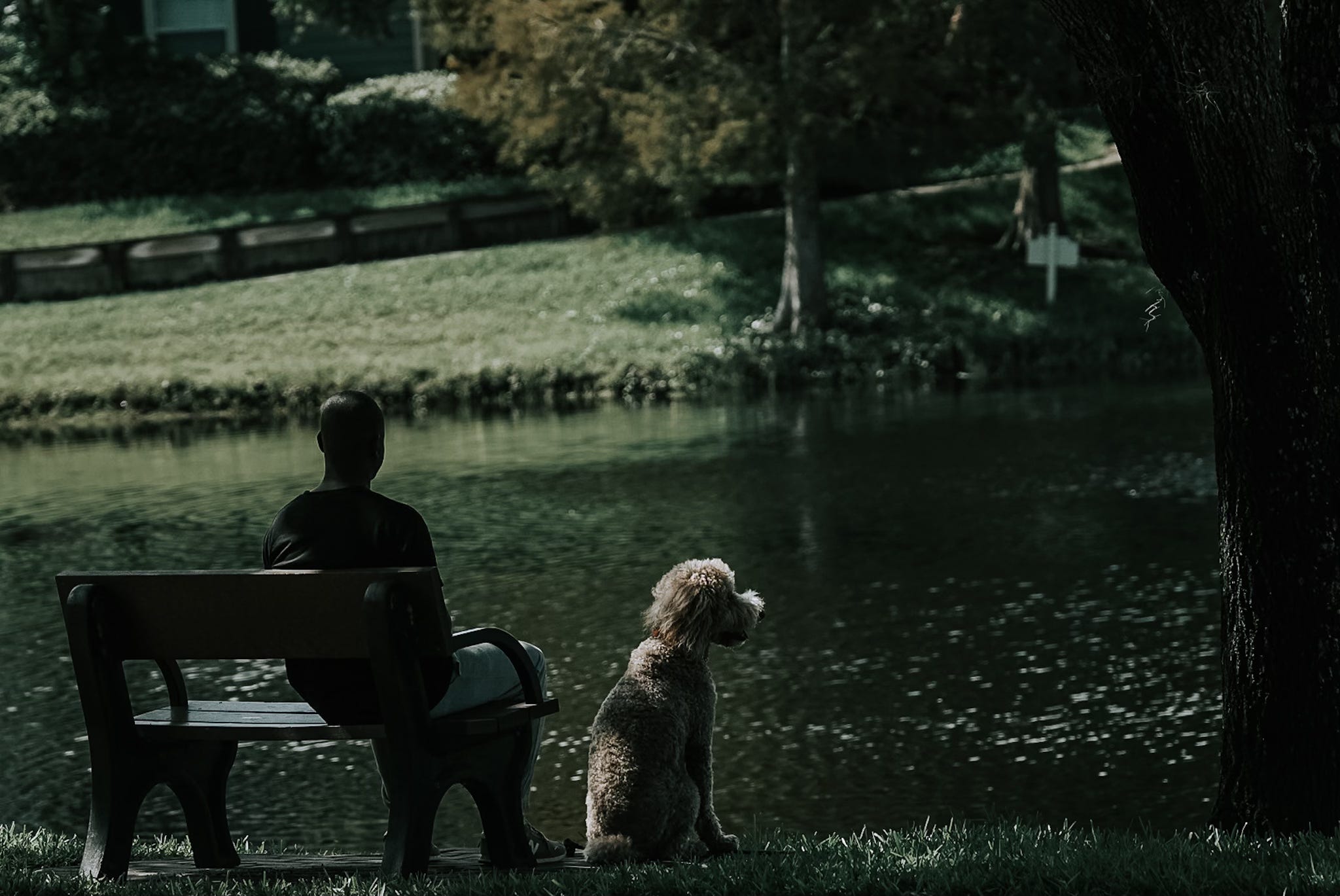 Lessons from a bench that was never mine episode artwork