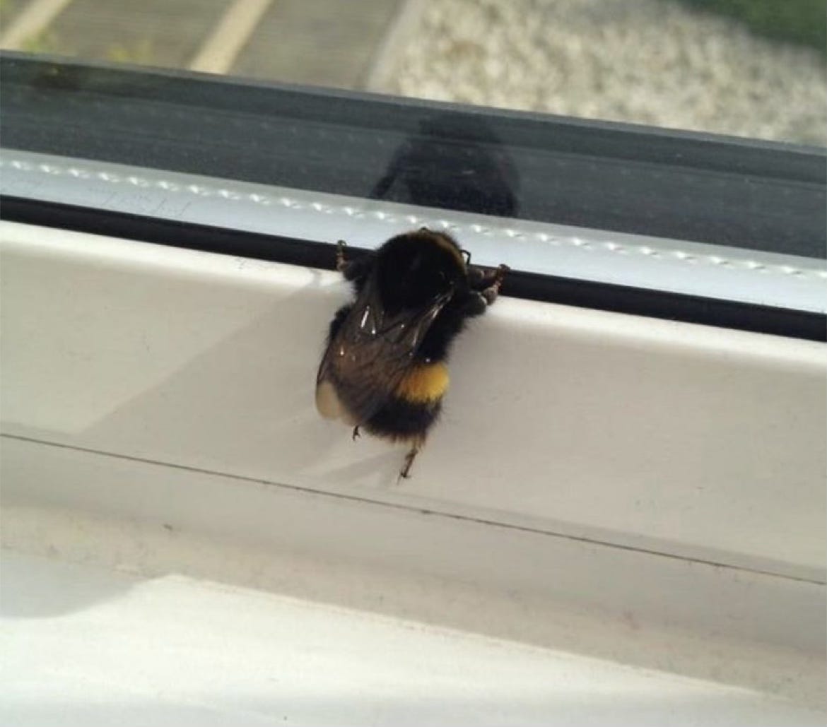 I started living with more integrity the moment I left christianity I started living with more integrity the moment I left christianity