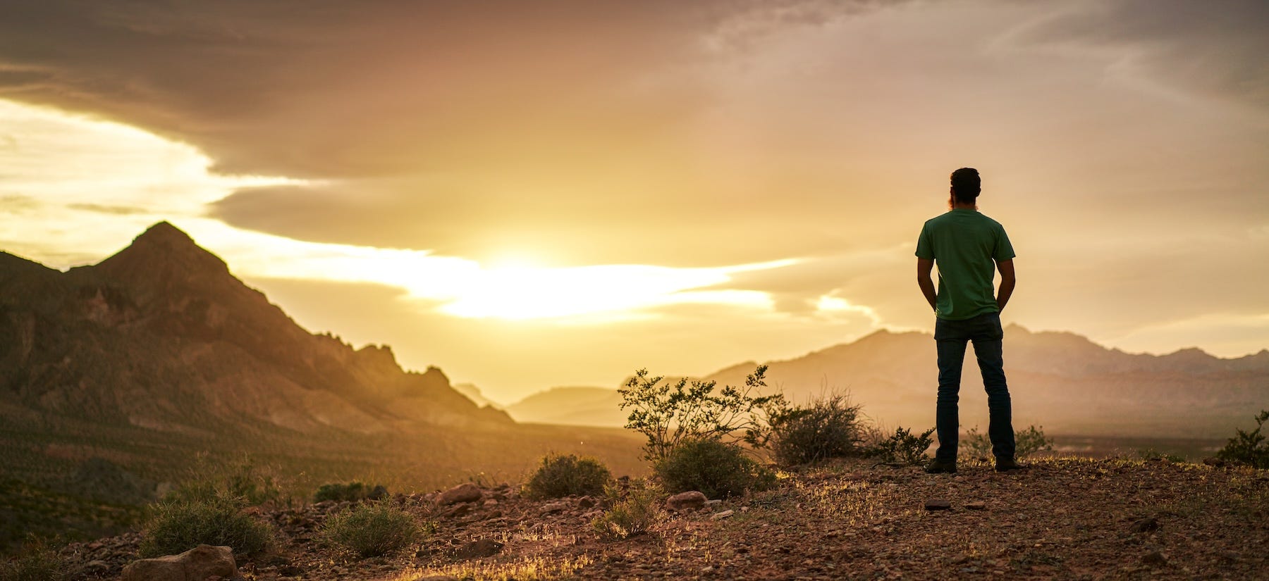 Ep. 233: Dr. Samir Chopra — How to Find Peace Even When You're Anxious