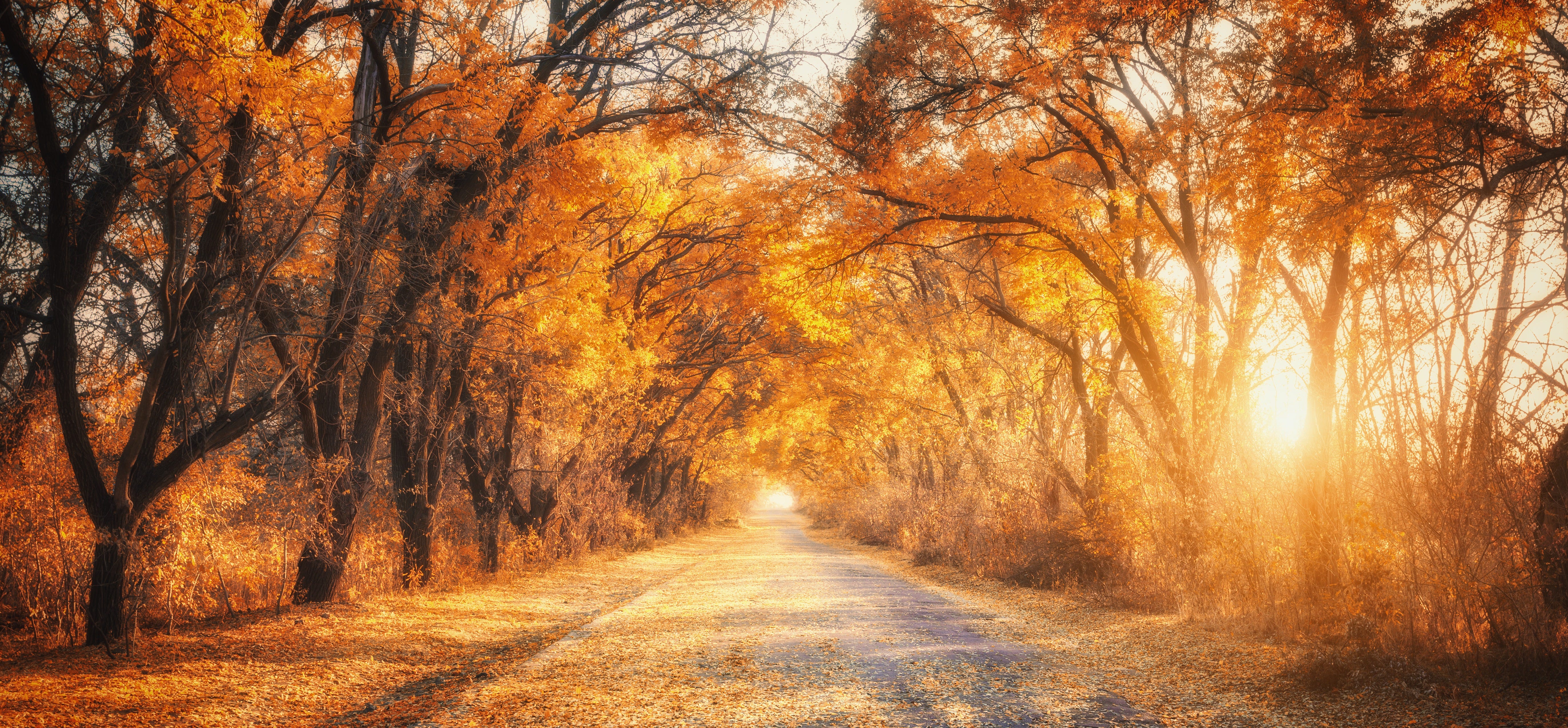 248: Daily Practices for Managing Anxiety