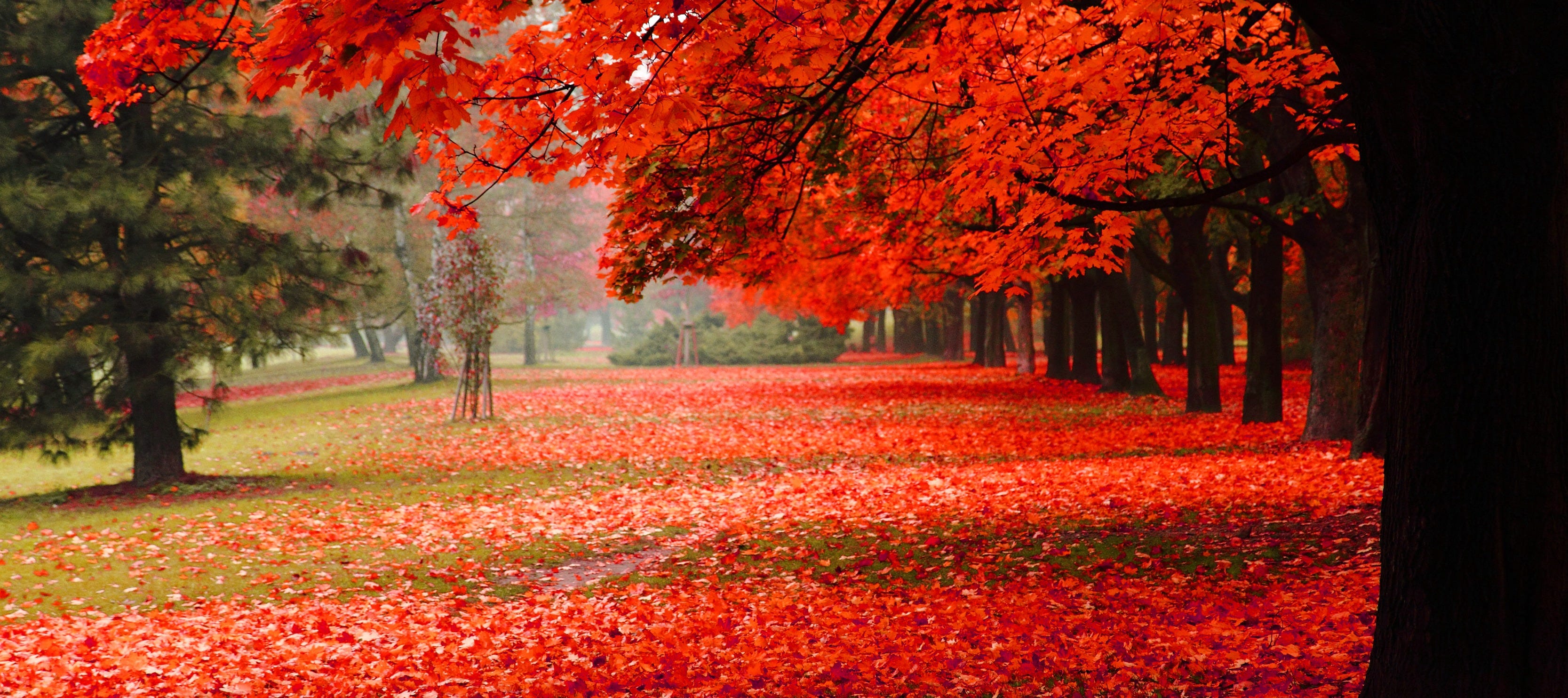 250: The Fear of Being Judged in Therapy