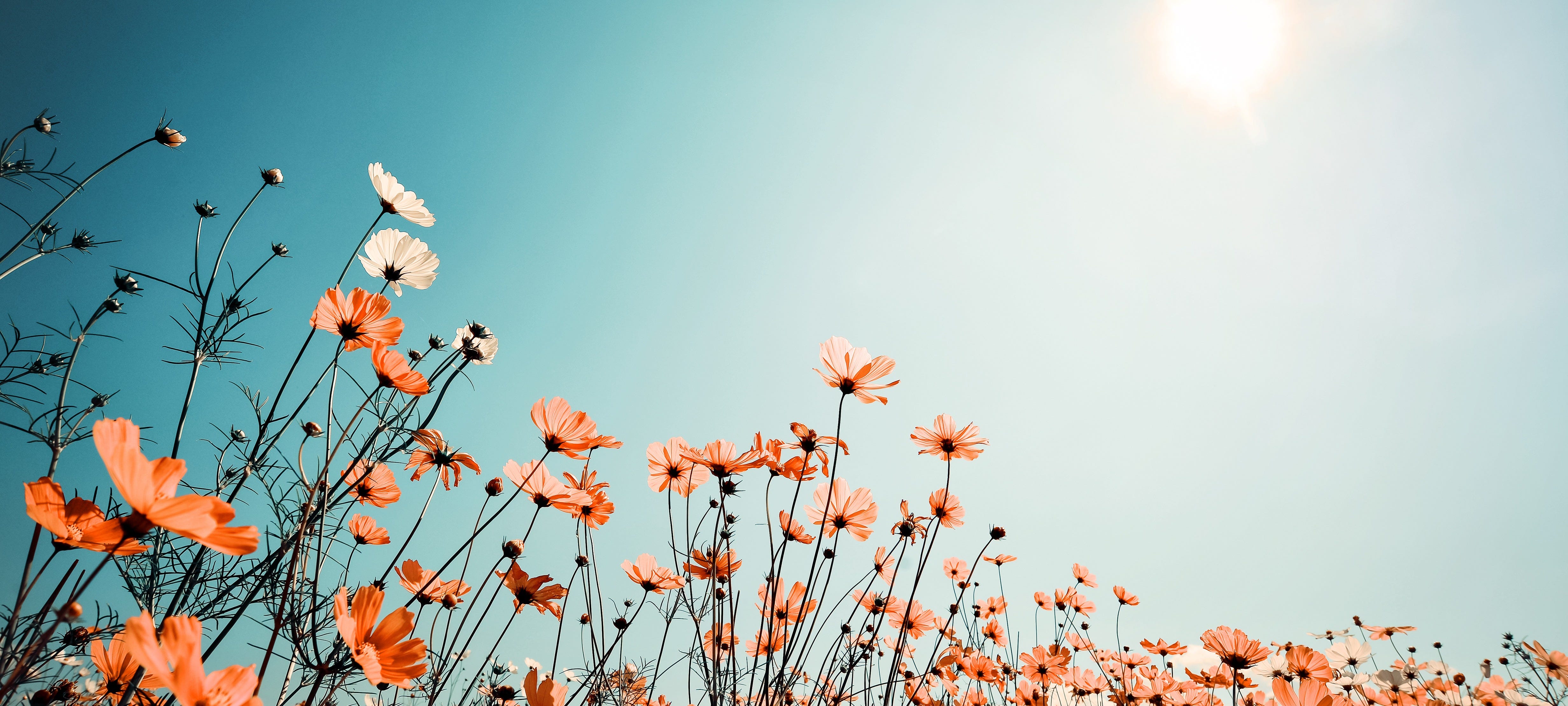 251: How to Get More Out of Every Therapy Session