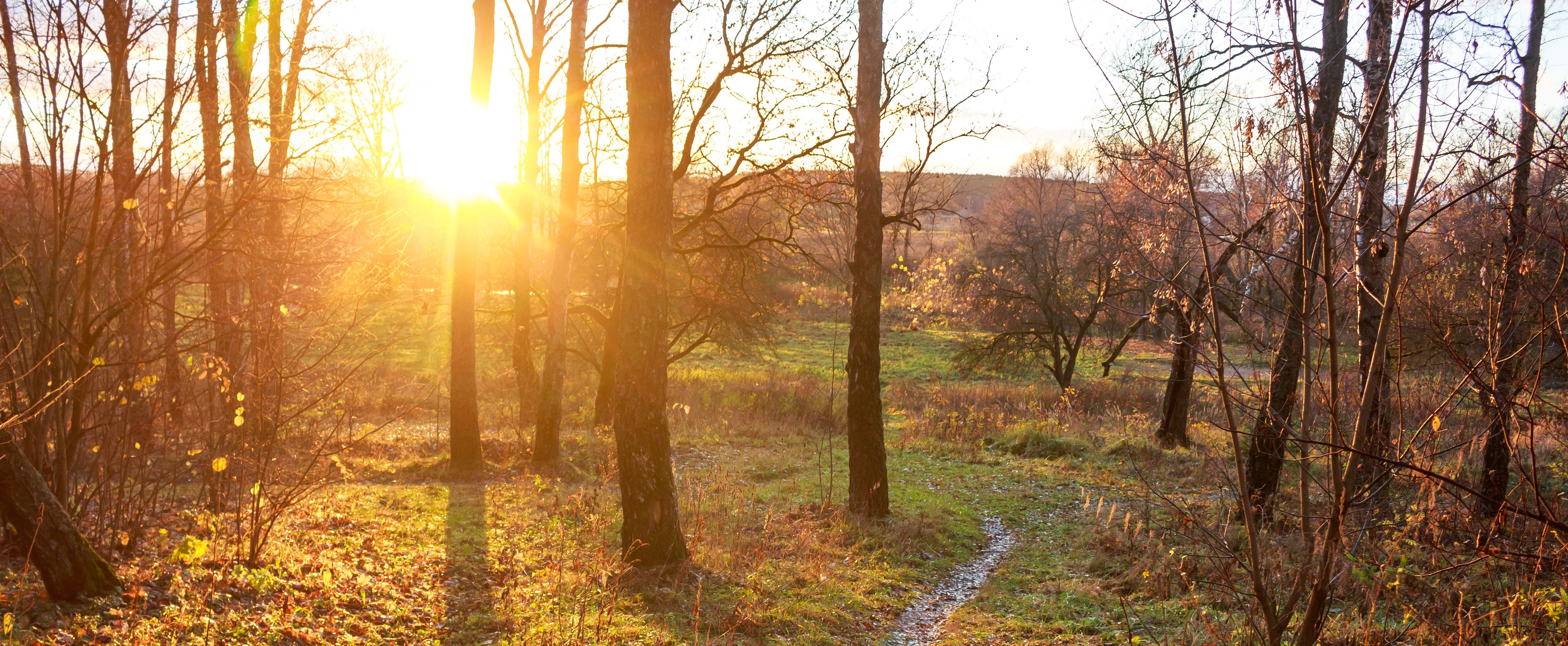 253: Less Thinking, More Action for Greater Well-Being