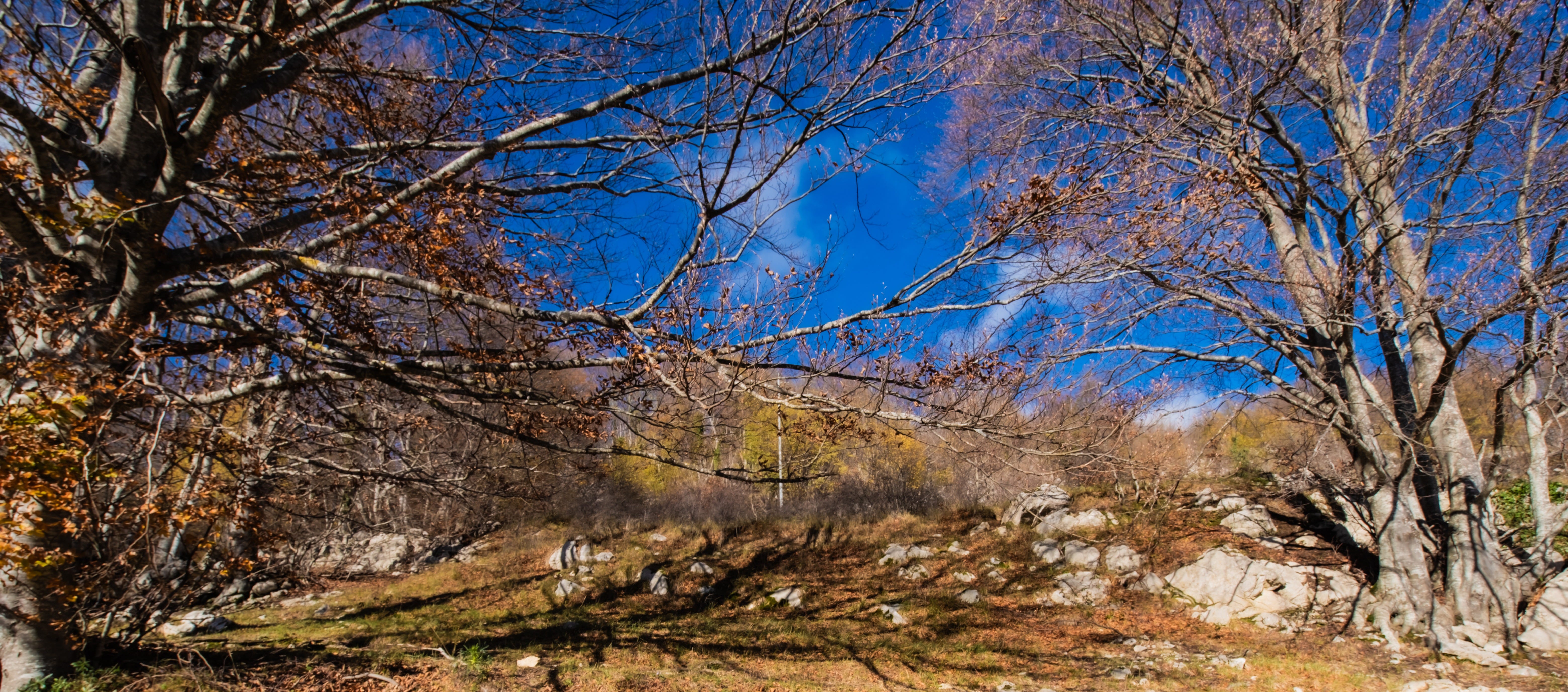 254: Pros and Cons of Using AI as Therapy