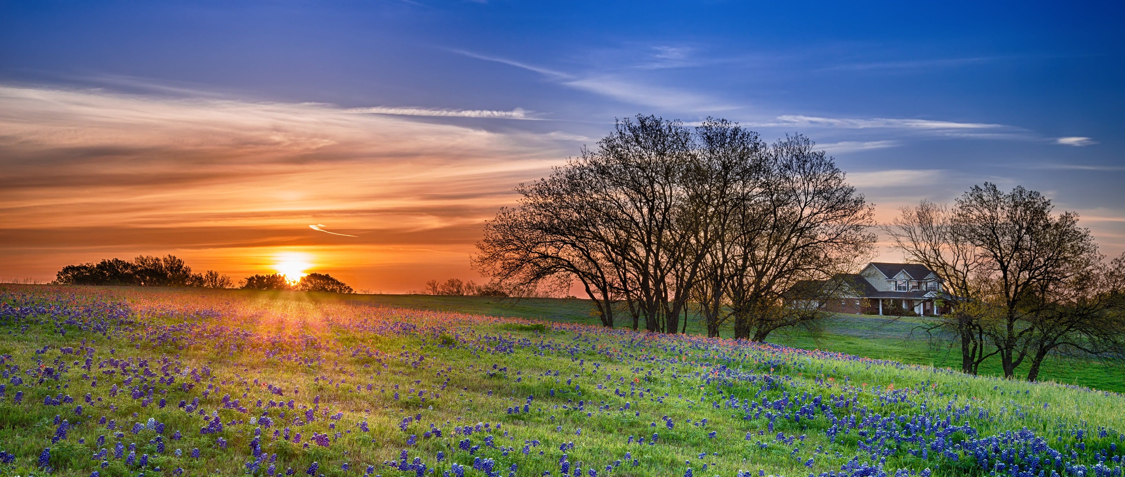 258: Surprisingly Effective Ways to Manage Anxiety