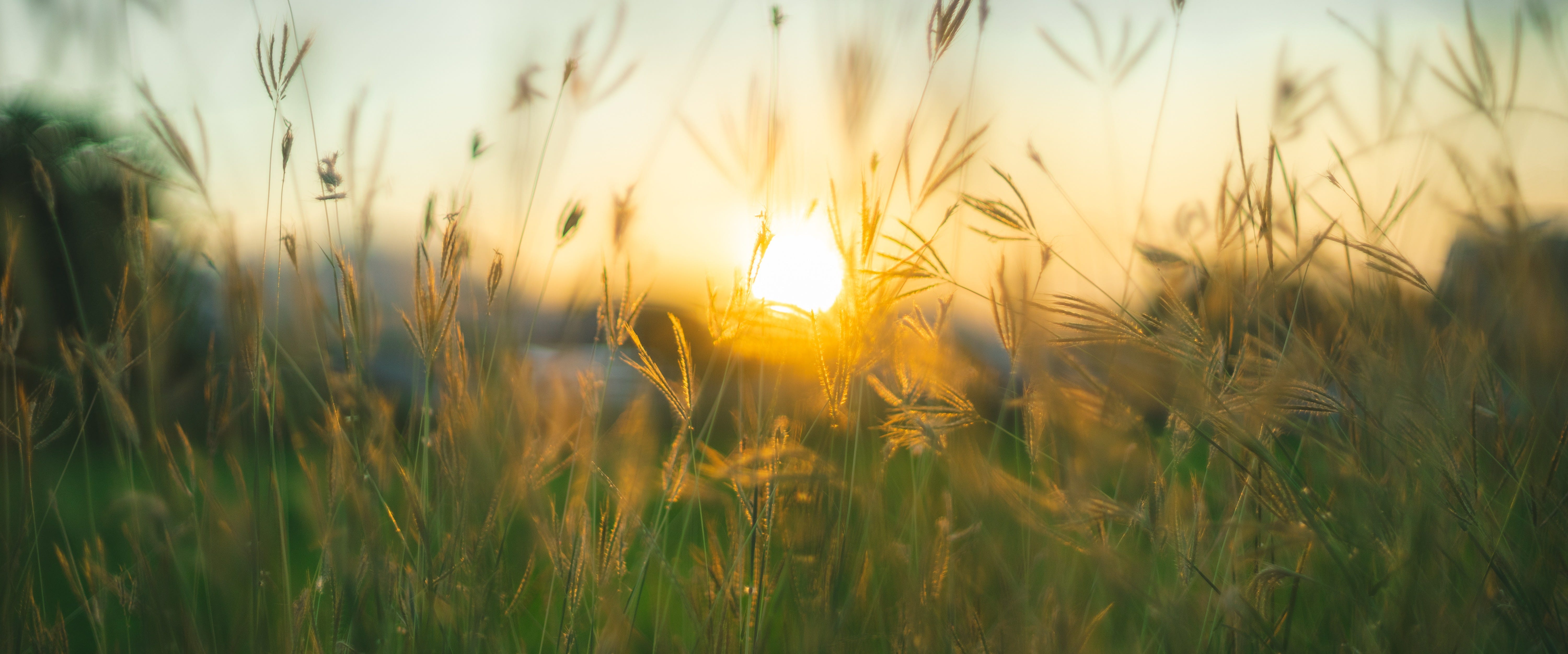 259: Free Yourself From Unnecessary Guilt