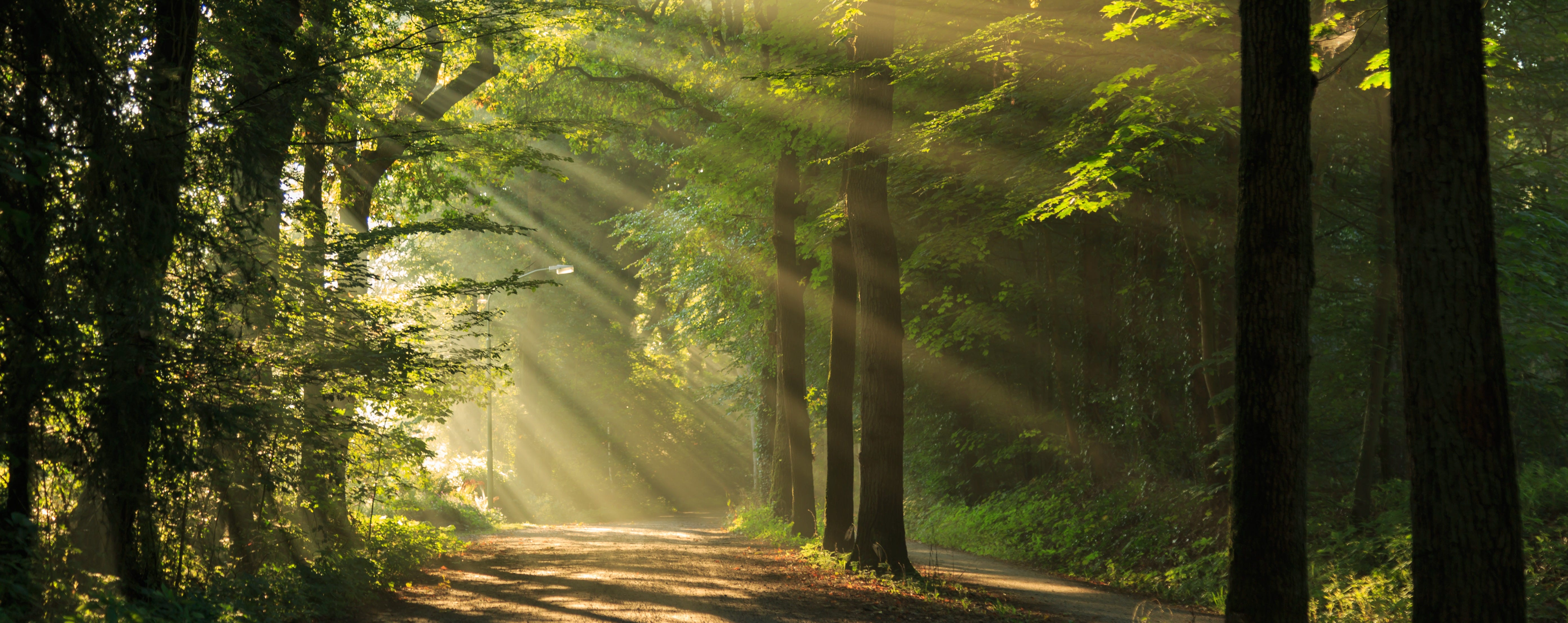 260: Reclaim Your Life From Social Media