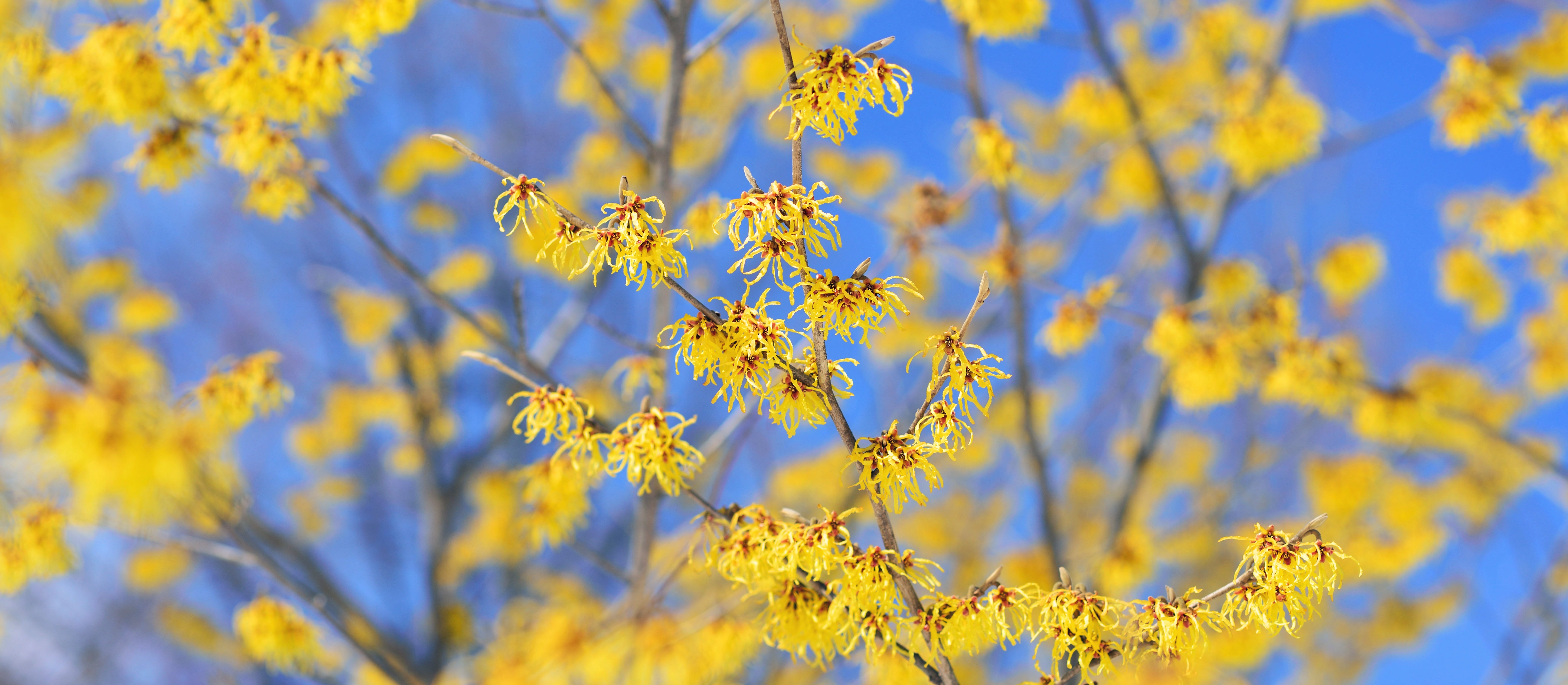 261: Free Yourself from Mental Health "Shoulds"