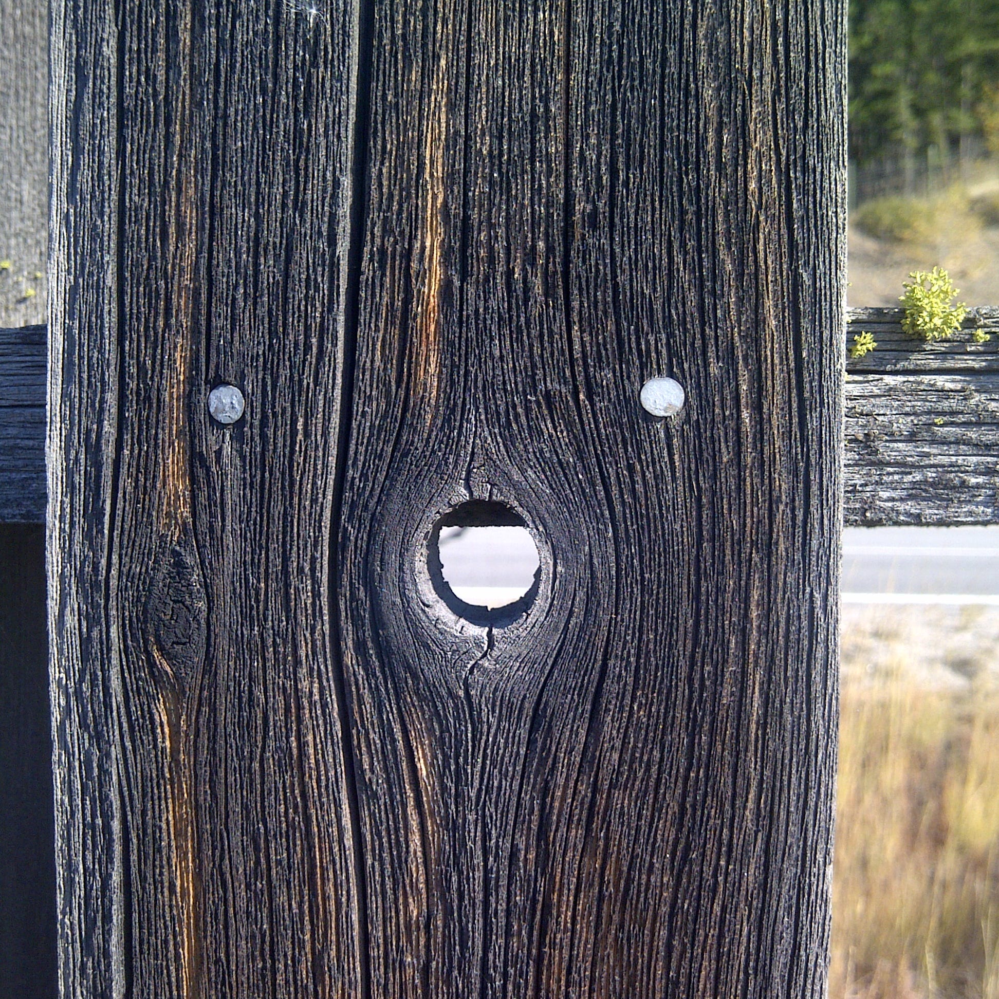 Talking With Friends, Sharing the Load Podcast