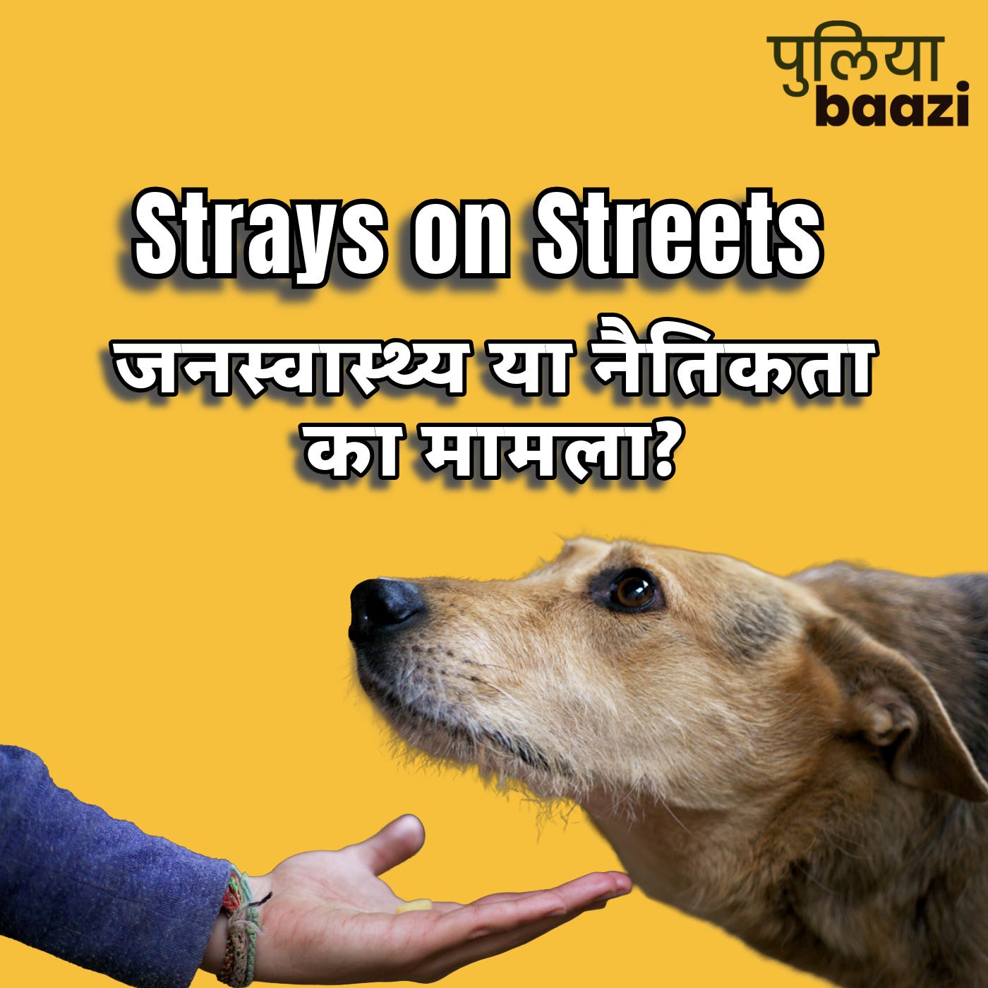 आवारा कुत्तों की समस्या: जनस्वास्थ्य या नैतिकता का मामला? The Irrational Laws Behind India’s Stray Overpopulation