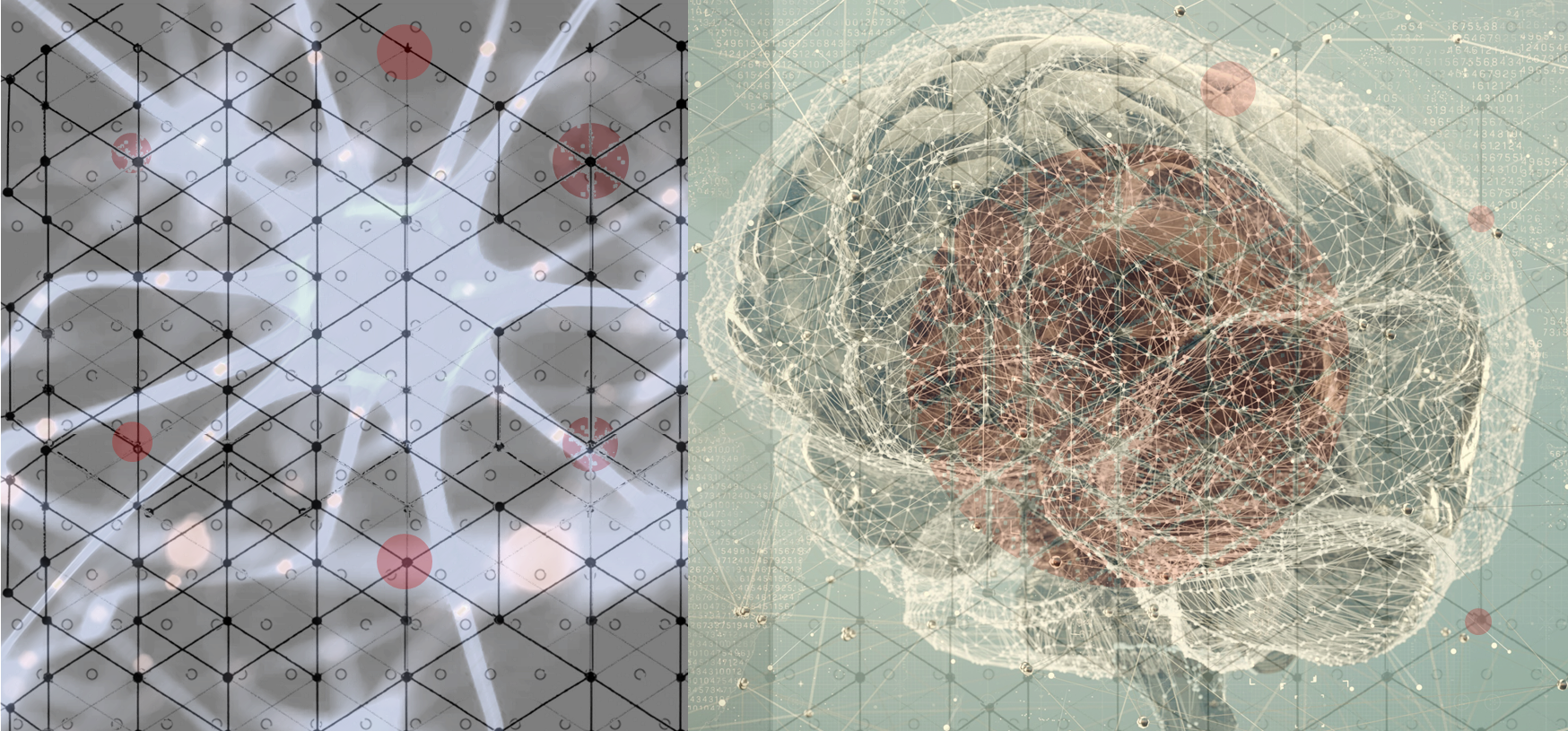 A Geography Revolution: Complexity and Connection in Successor Evolution