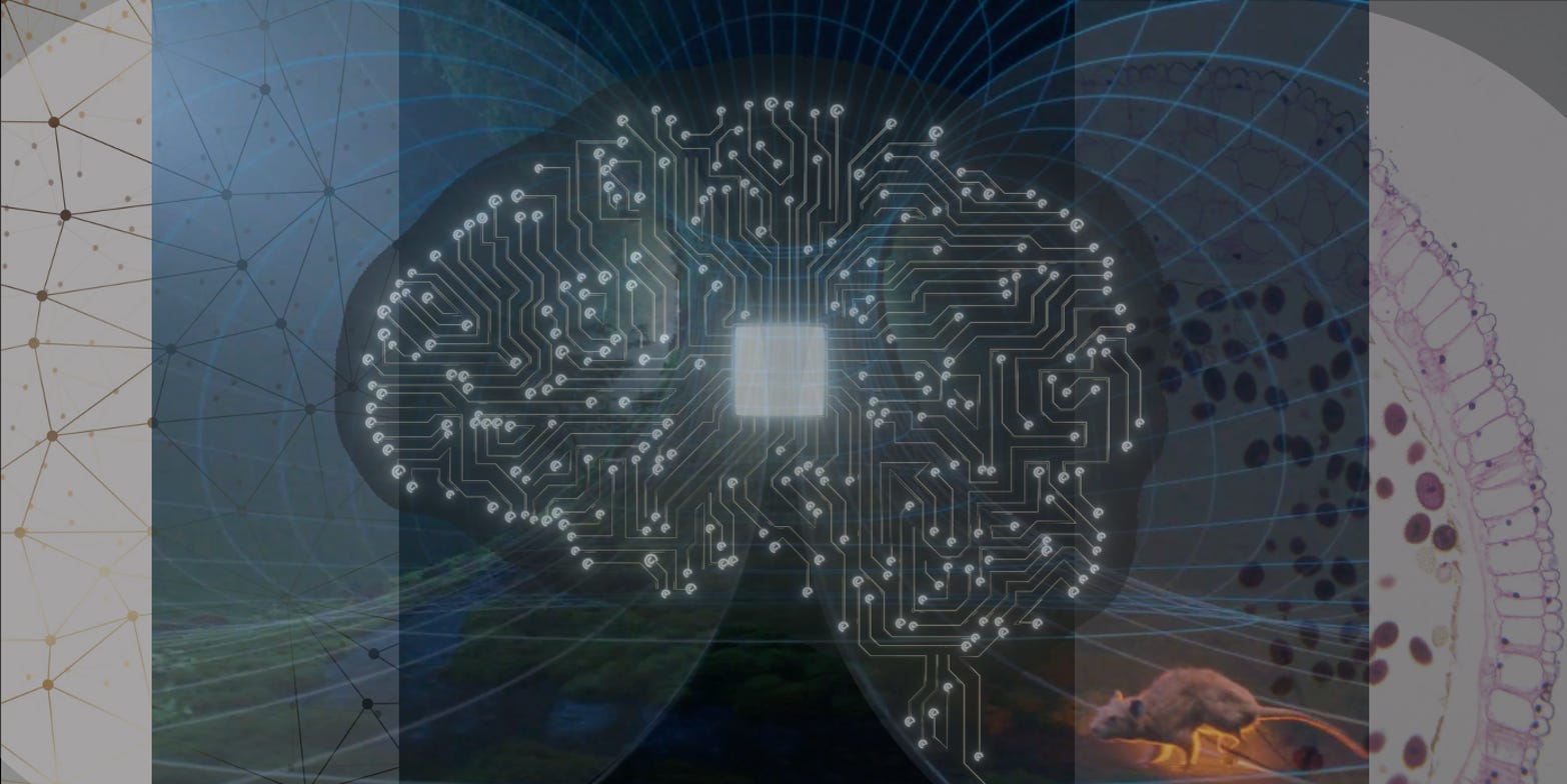 Train the Bot, Rot the Brain?