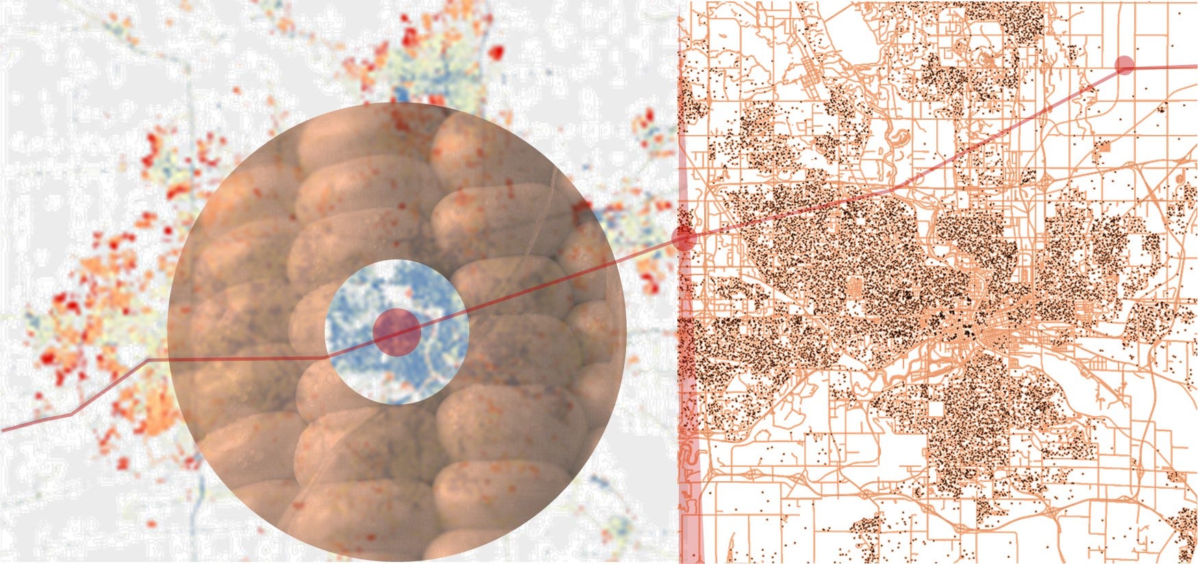 Iowa's Gray Blob Eats Corn on the Cob