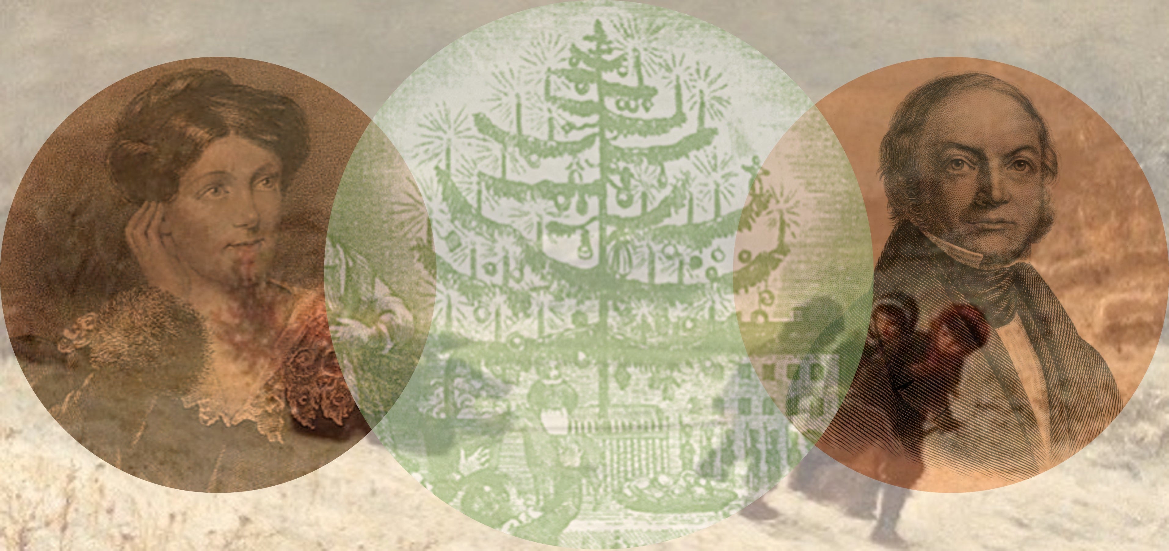 Oh Christmas Tree, Oh Christmas Tree, Your Story Has Many Branches