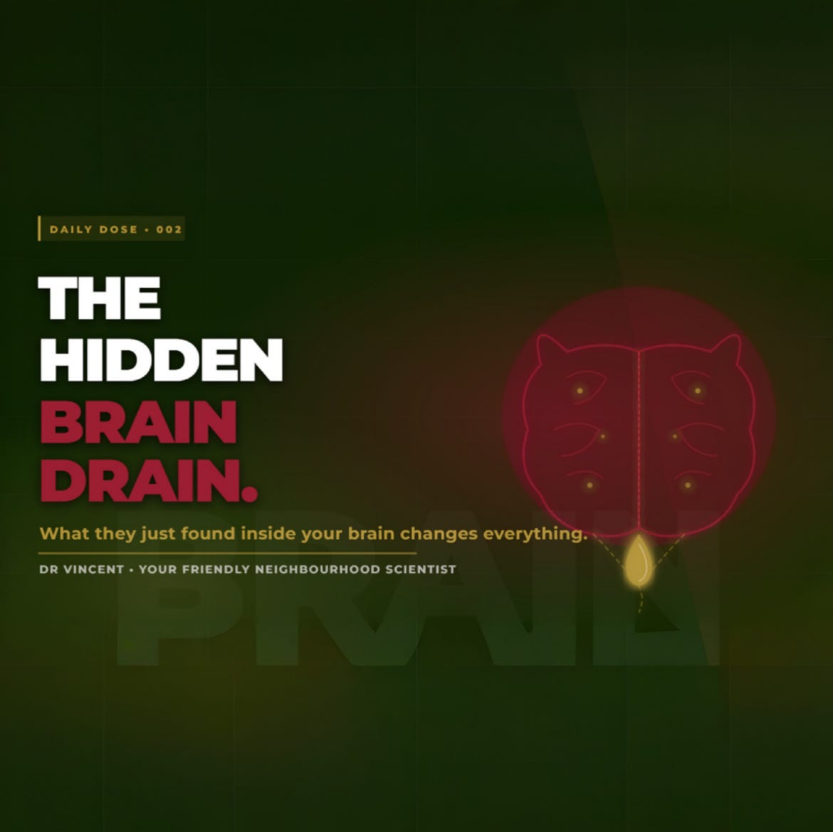 The Hidden Brain Drain - Daily Dose 002 episode artwork