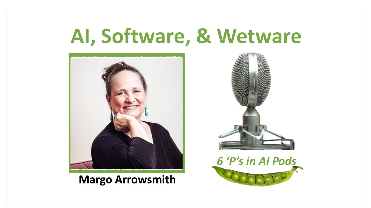🗣️ AISW #129: Margo Arrowsmith, USA-based psychotherapist and storyteller episode artwork