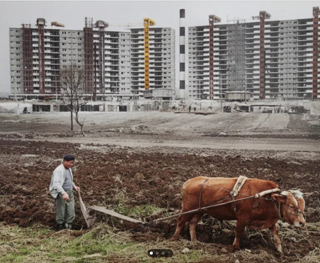 30(20). How Trauma Built Modern Korea: From "Ppalli-Ppalli" to the Miracle on the Han River