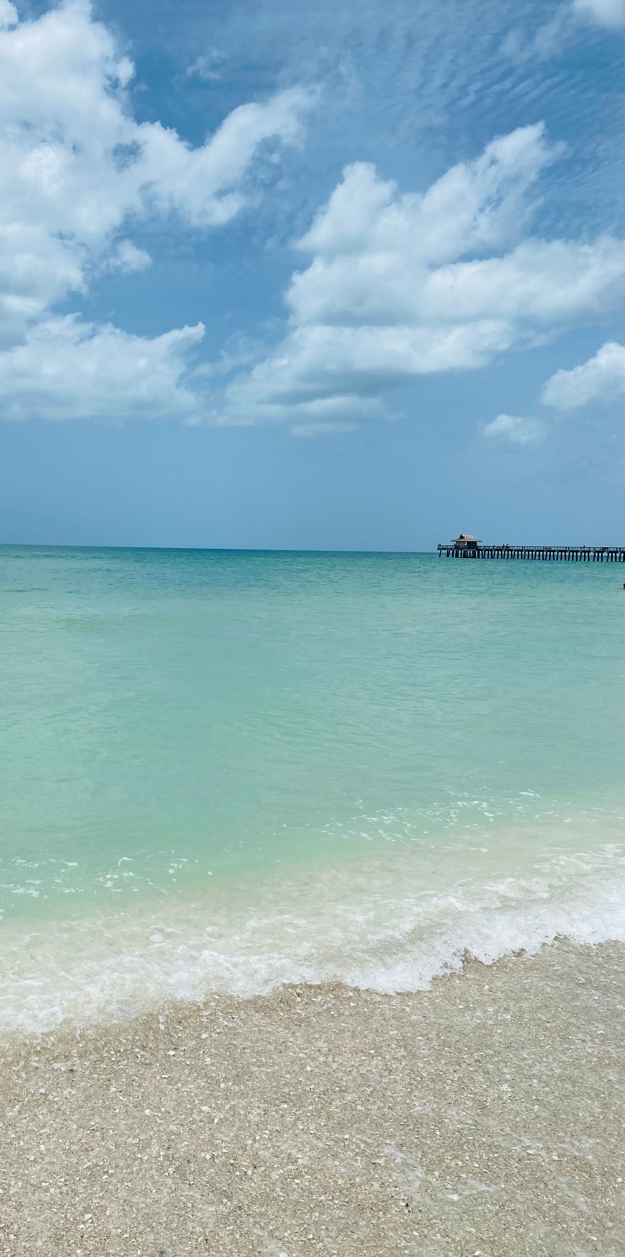 Your Longevity Lifestyle