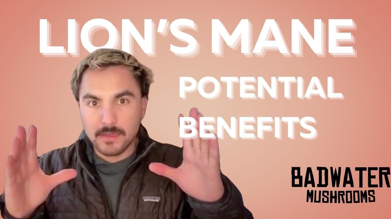 The Potential Benefits of Lion's Mane episode artwork