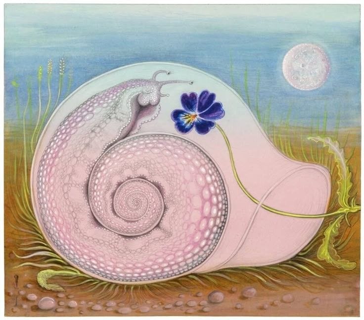 full moon in taurus ♉︎ ⋆˙⟡ take your time, you’ll still get there full moon in taurus ♉︎ ⋆˙⟡ take your time, you’ll still get there