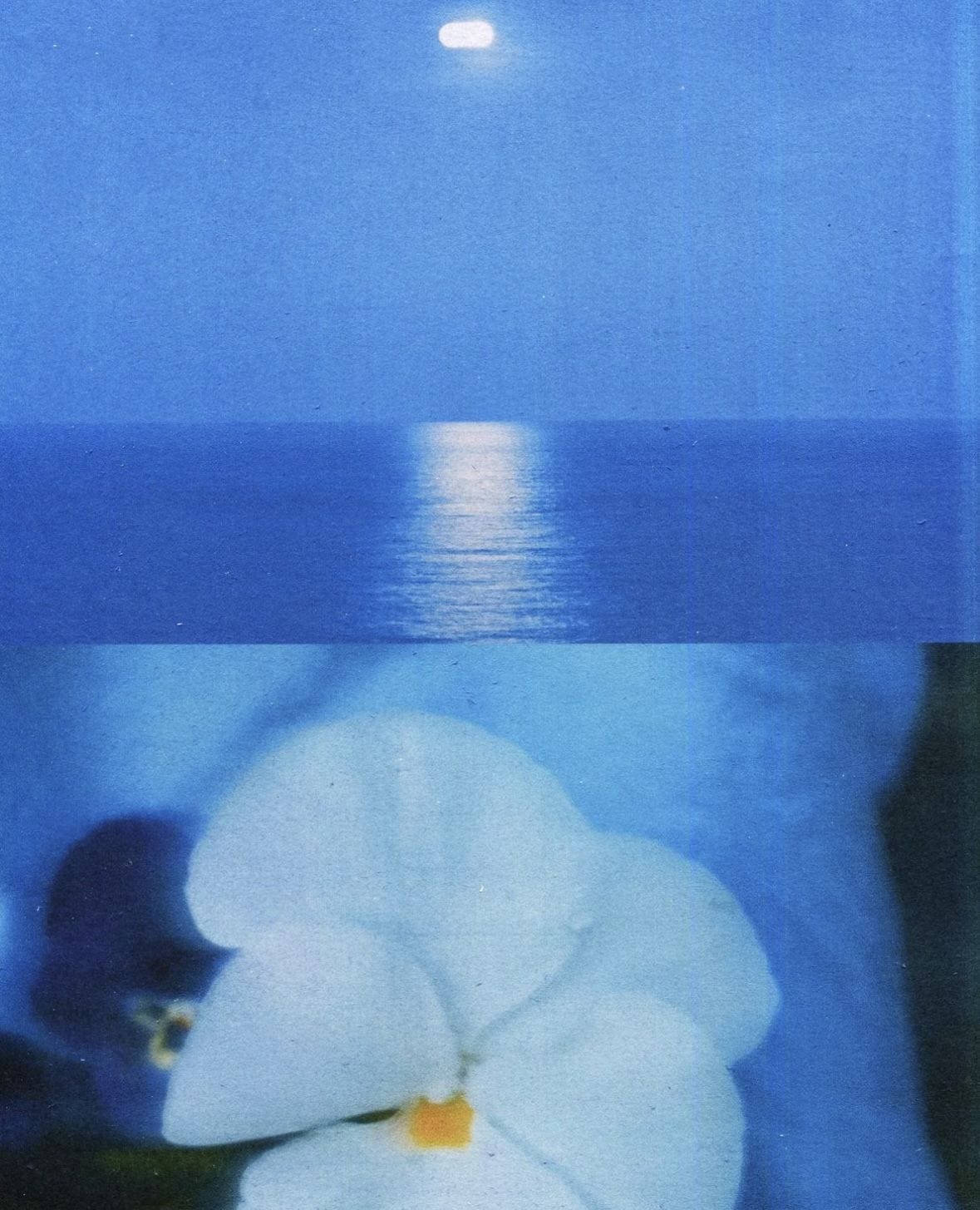 full moon eclipse in virgo ✮⋆˙ noticing