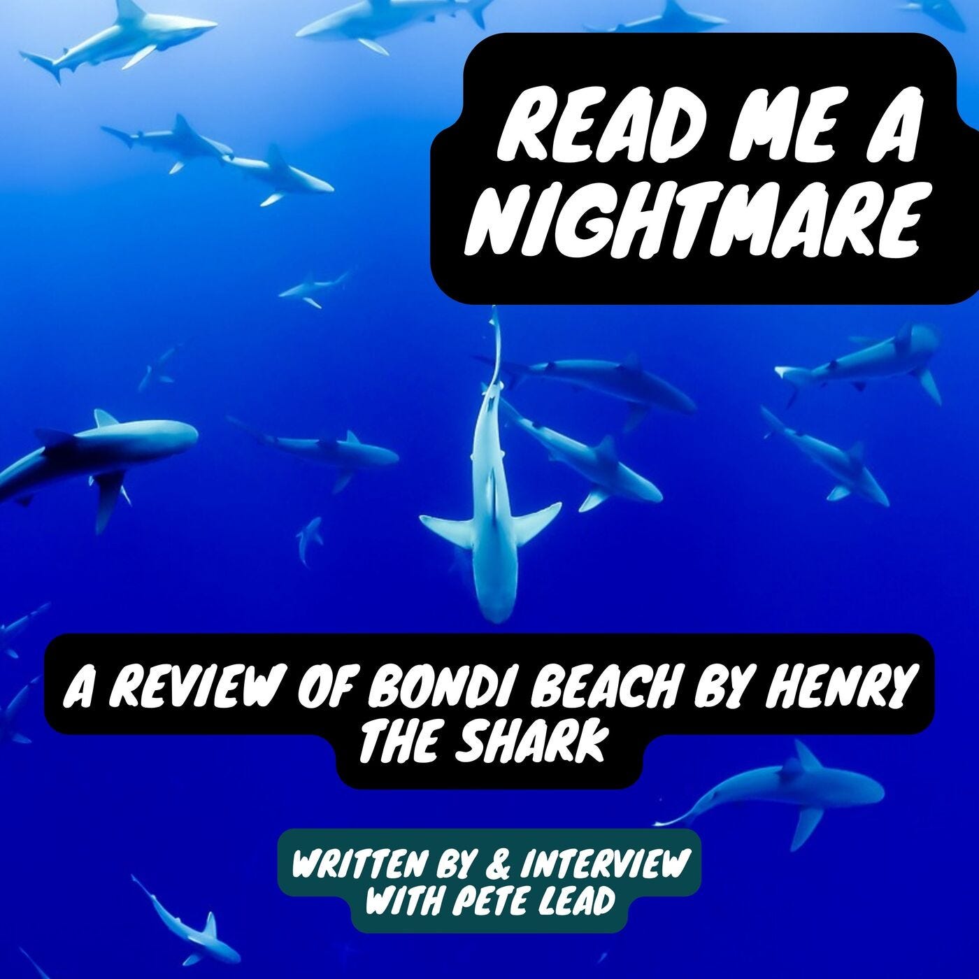 37 A Review of Bondi Beach & Interview with Pete Lead