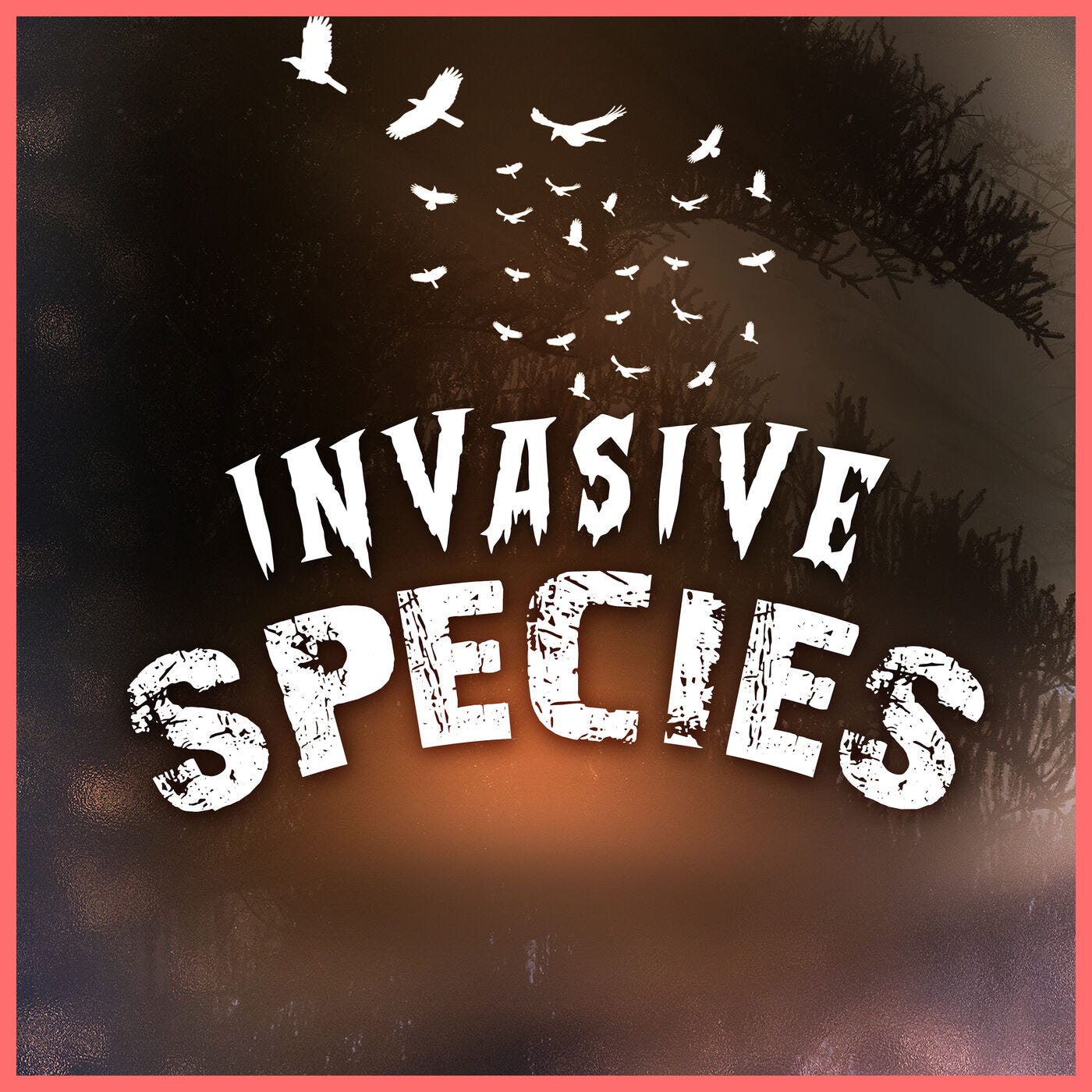 Invasive Species & Interview with Scot Noel