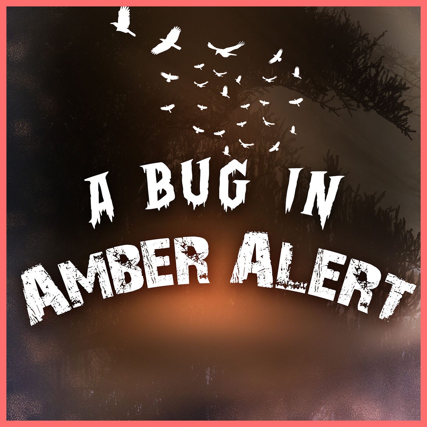 A Bug in Amber Alert & Interview with Natalie Brown