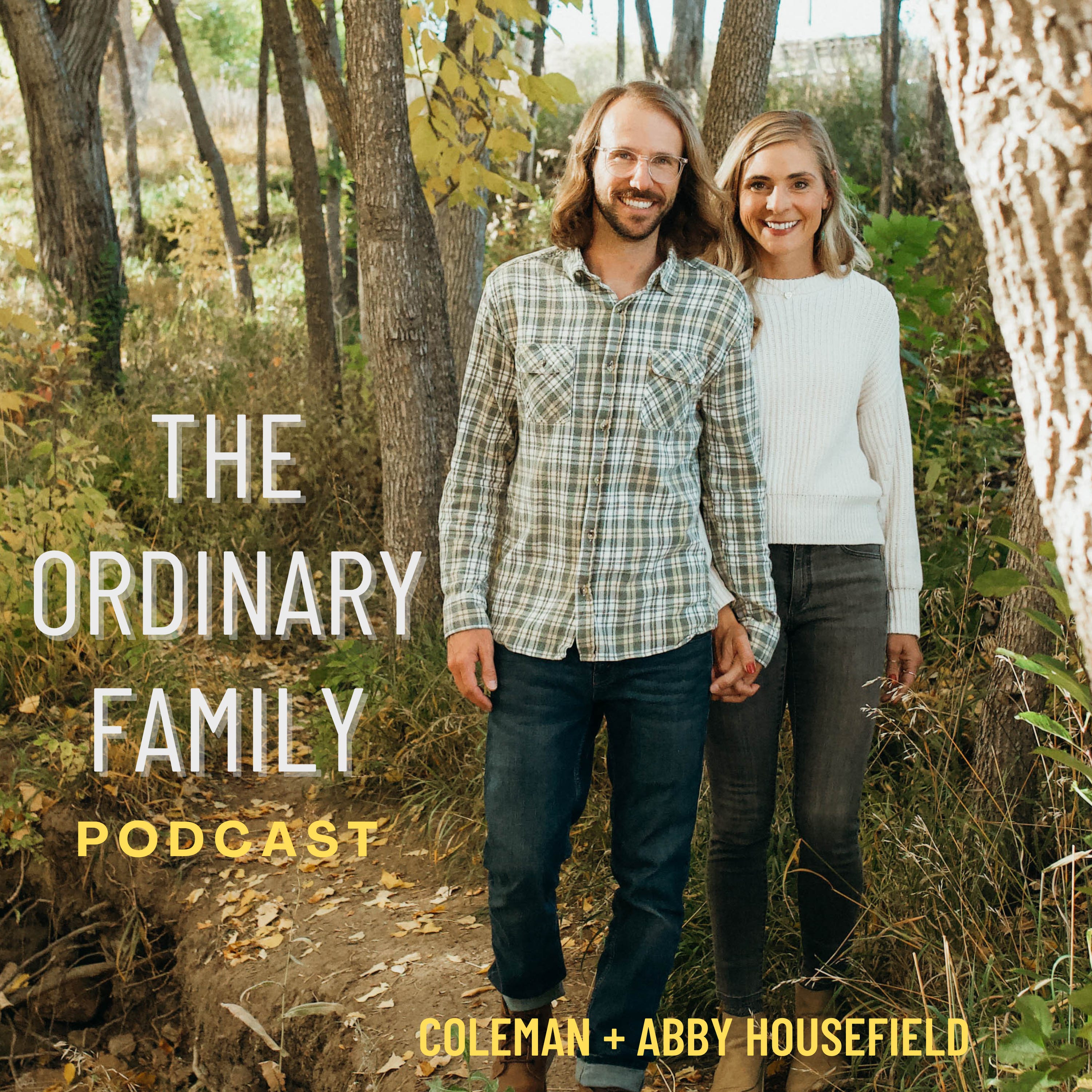 The Ordinary Family