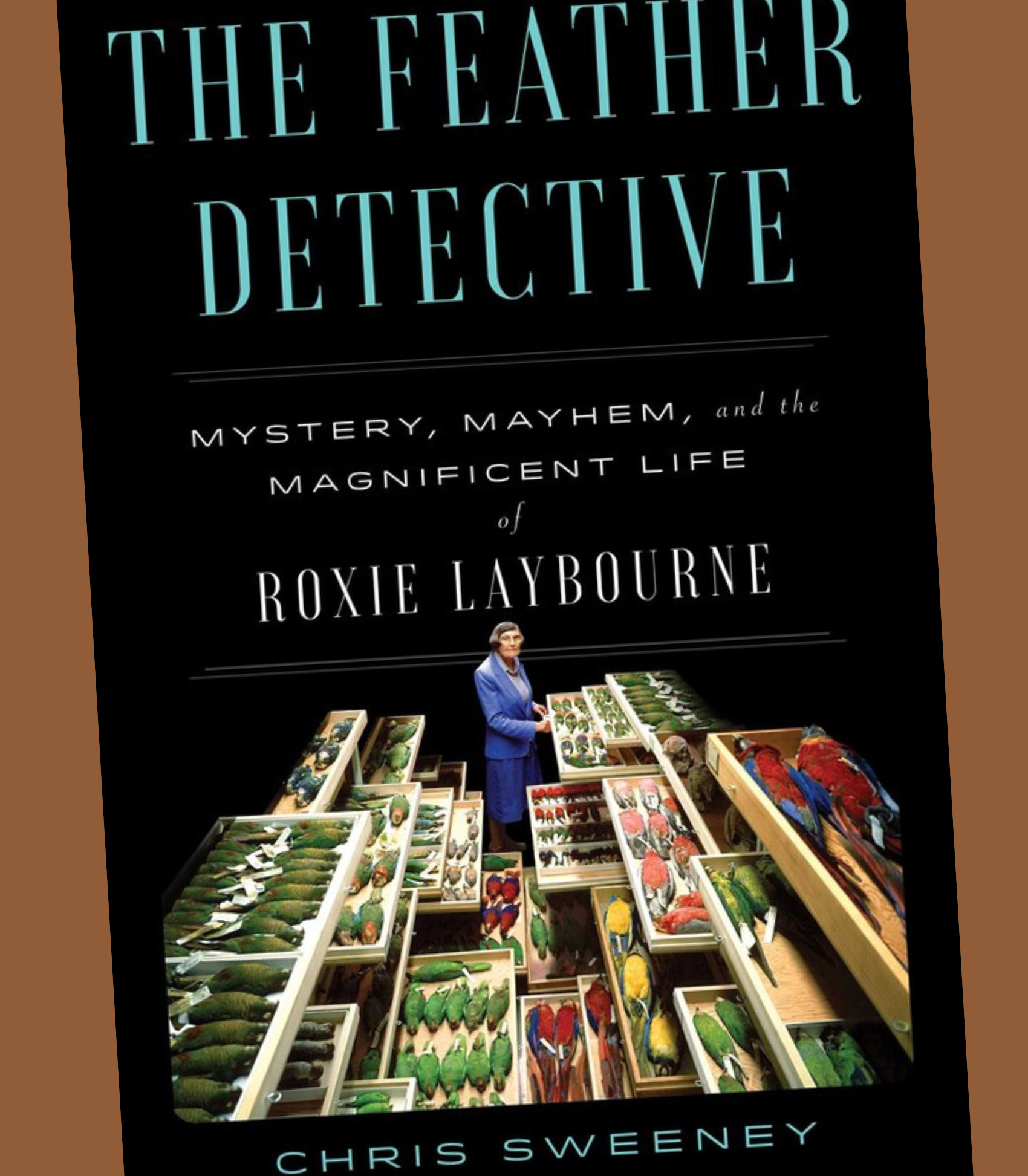 Elena Meets the Author