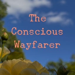 The Conscious Moment Podcast