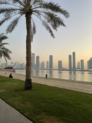 Life Is But a Beach Chair 🏖️