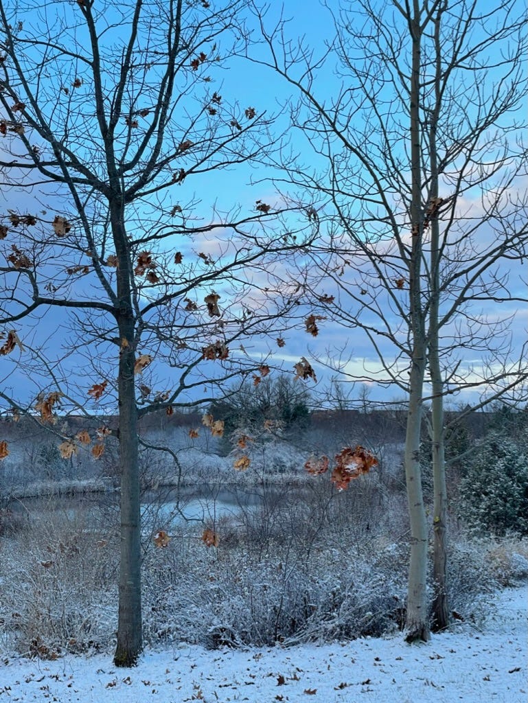 Sunday Snow Day Catch Up