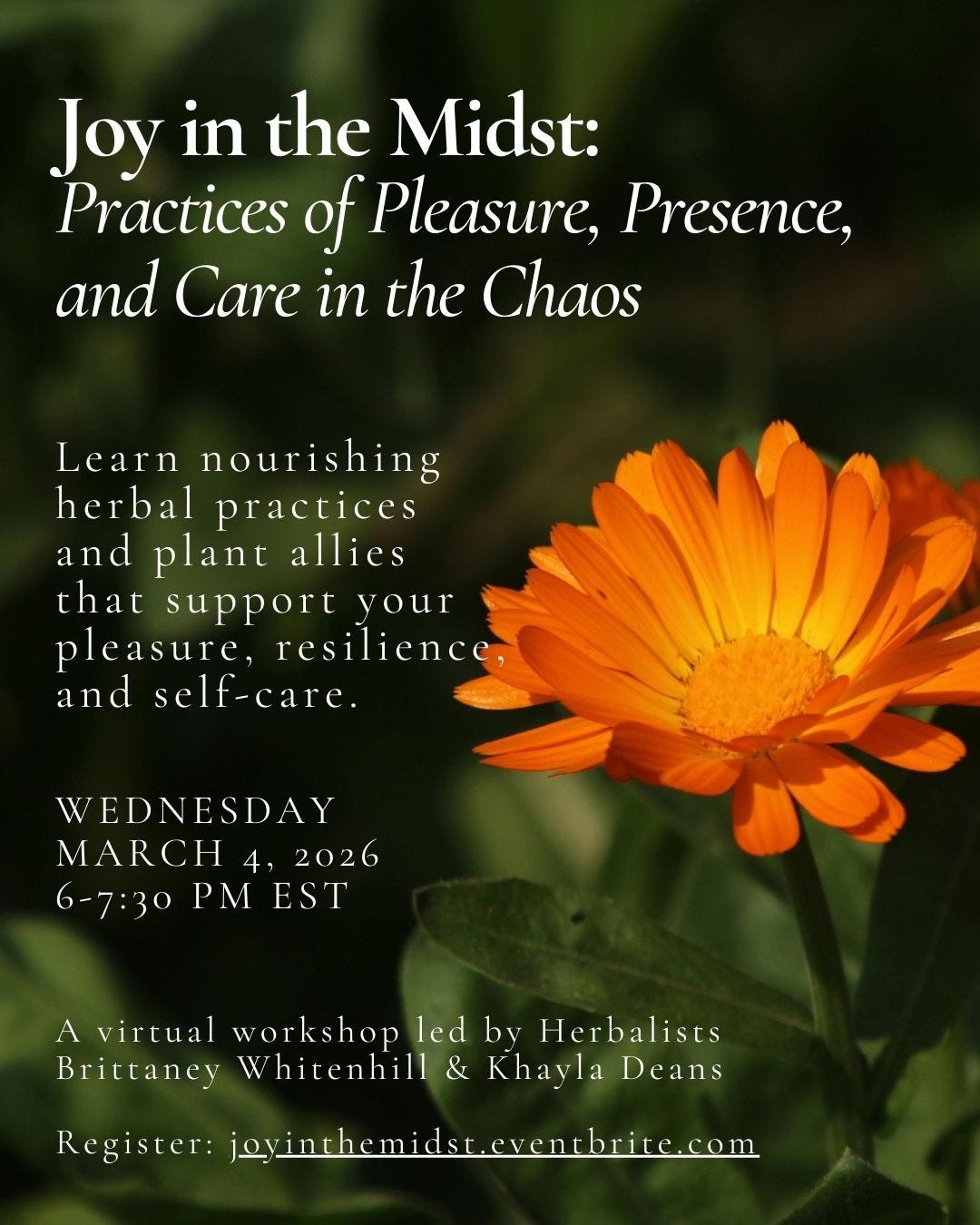 Anchoring Our Joy with Calendula ft Brittaney Whitenhill