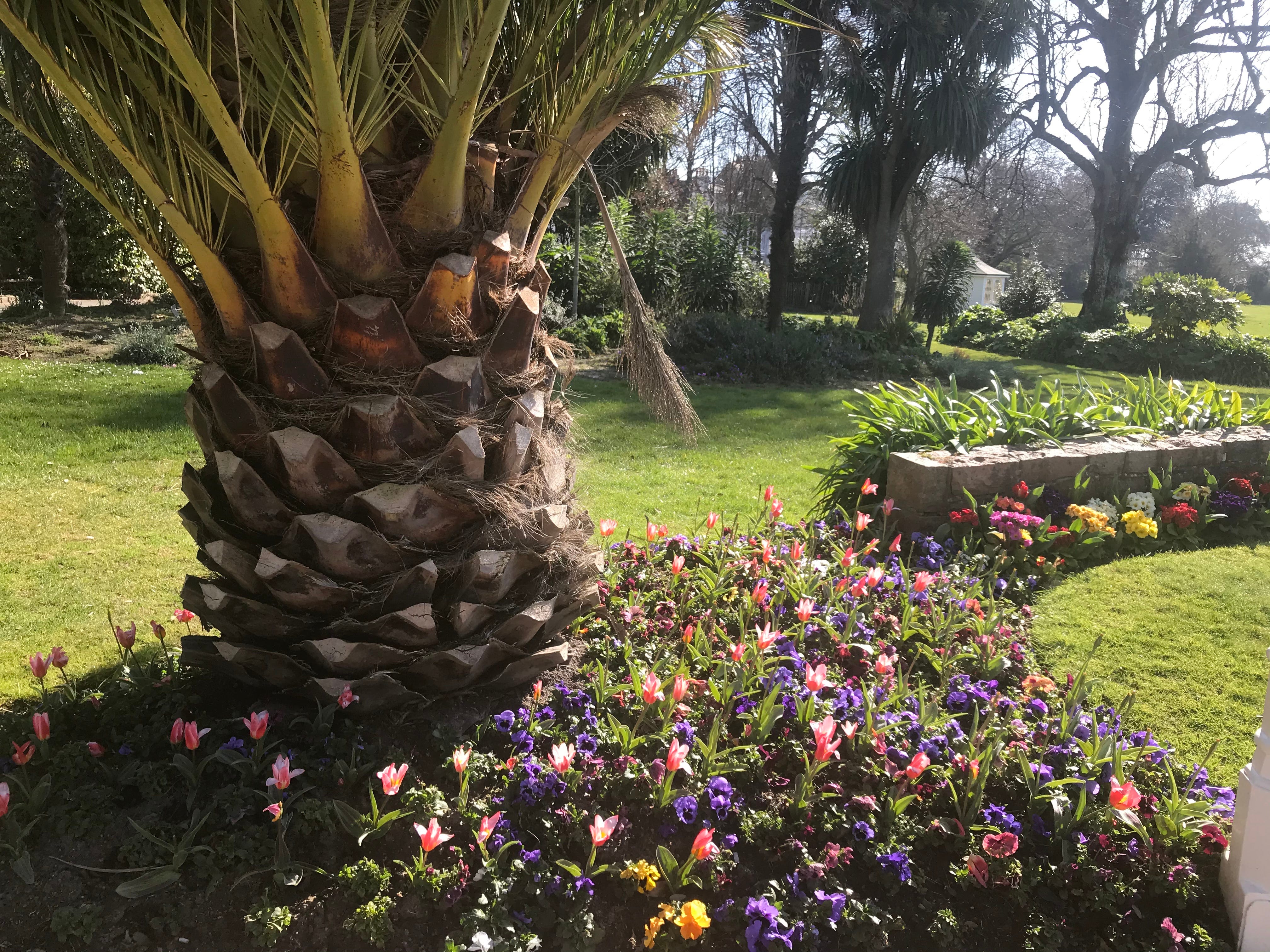 The History Islands by Paul Darroch