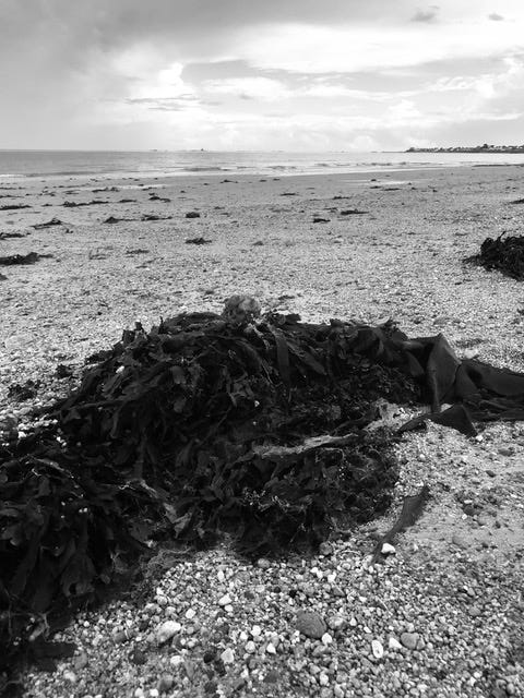 The History Islands by Paul Darroch