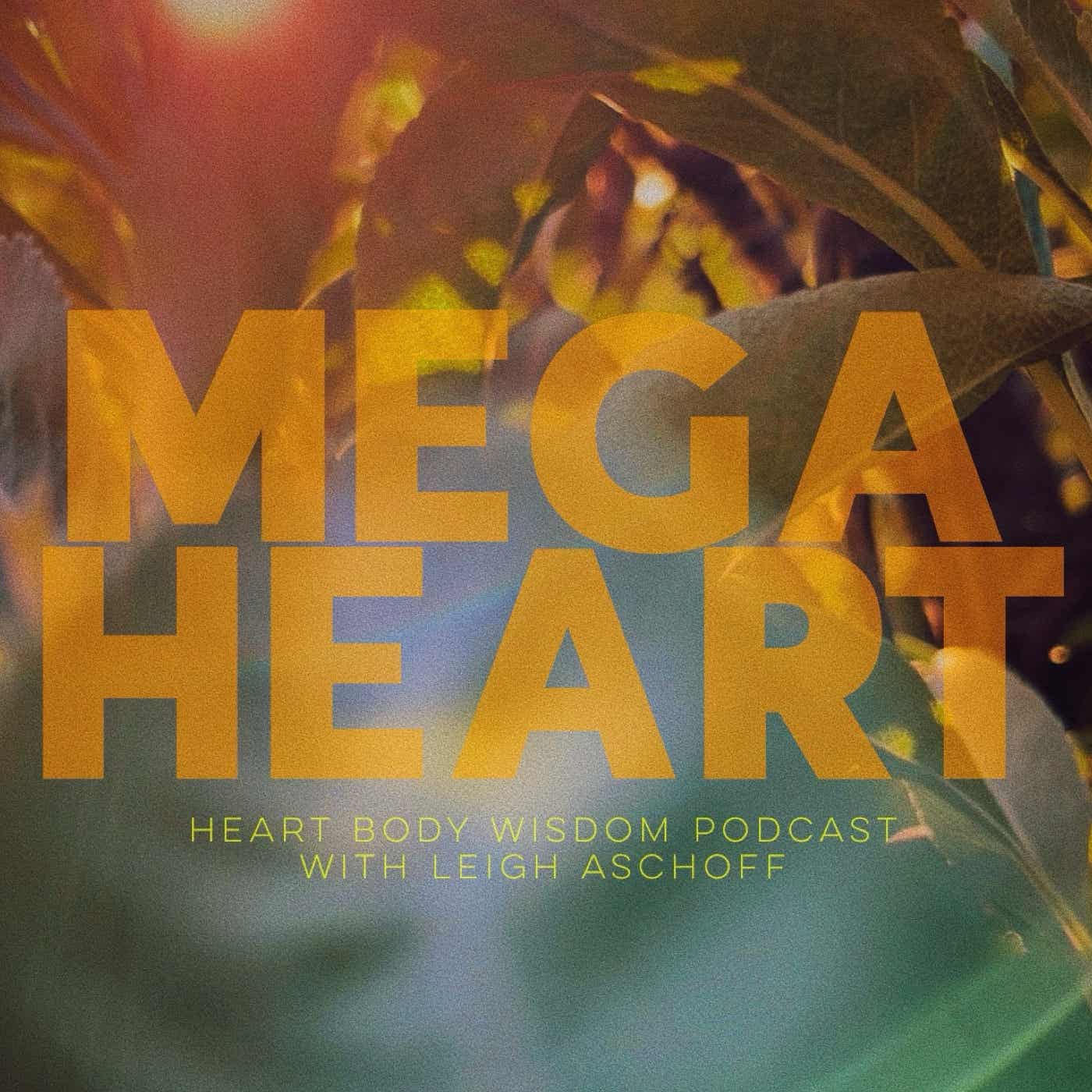 MEGA HEART