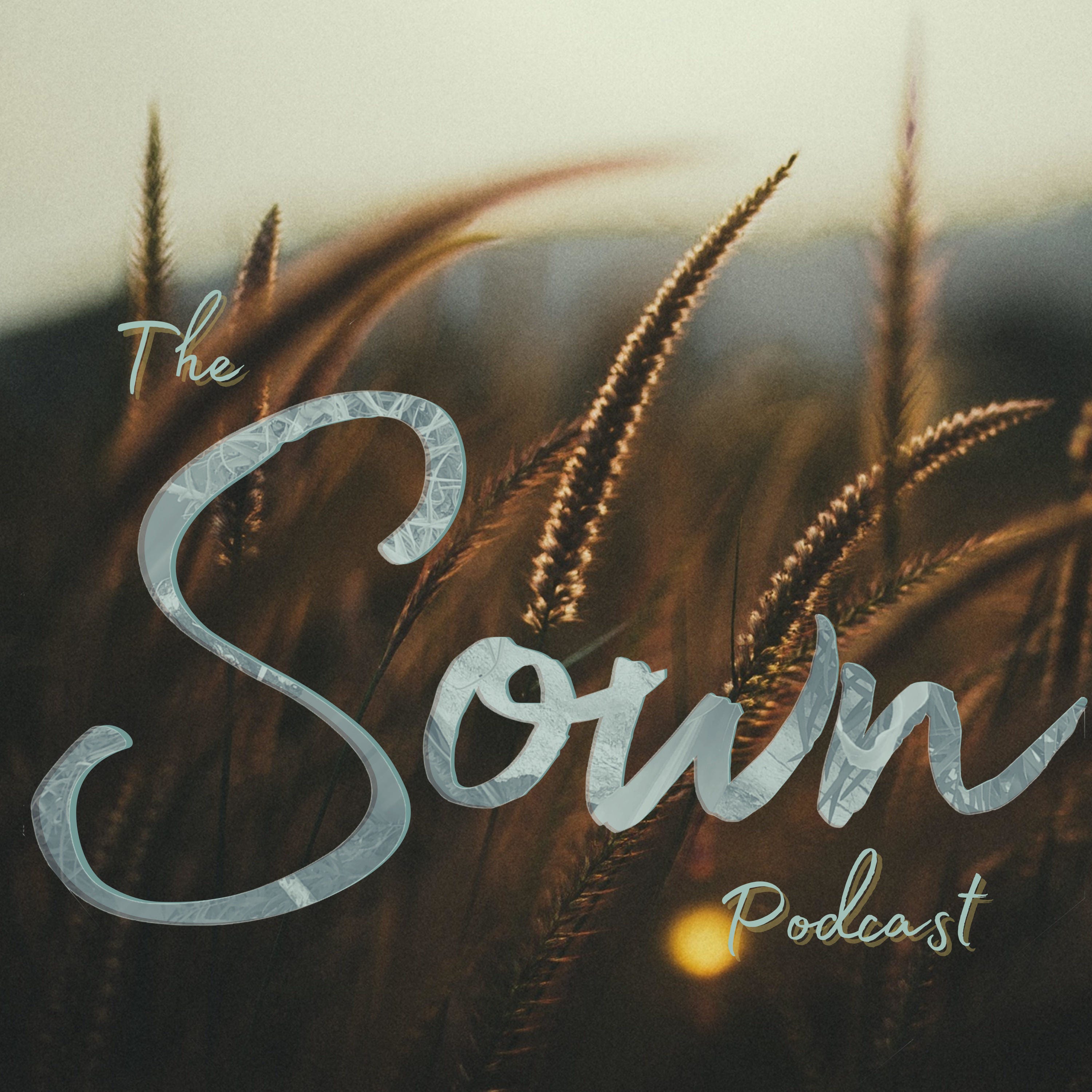 Sown E6 | Find Your Place | The Star episode artwork