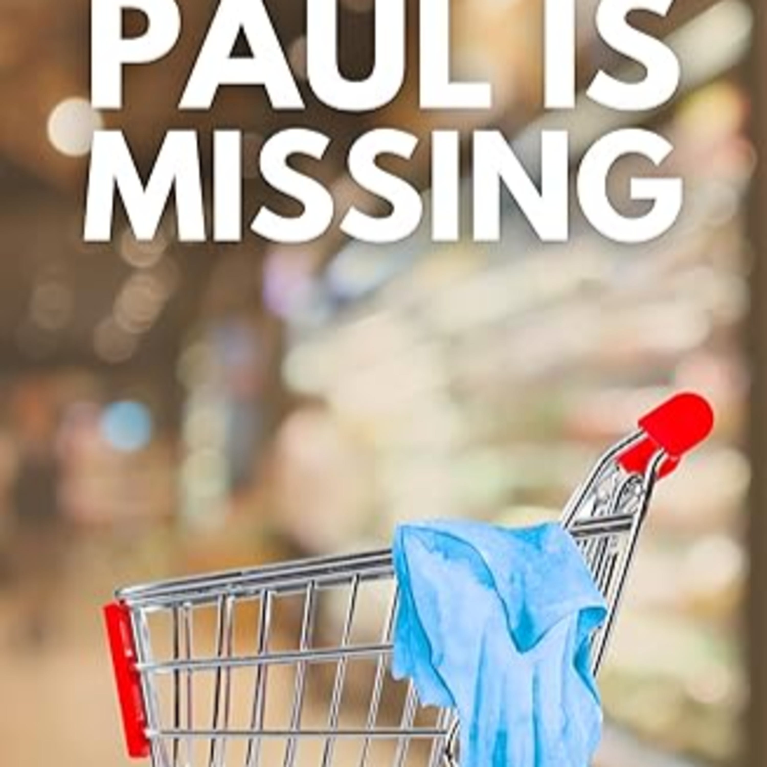 Paul is Missing by Donna M Cramer episode artwork