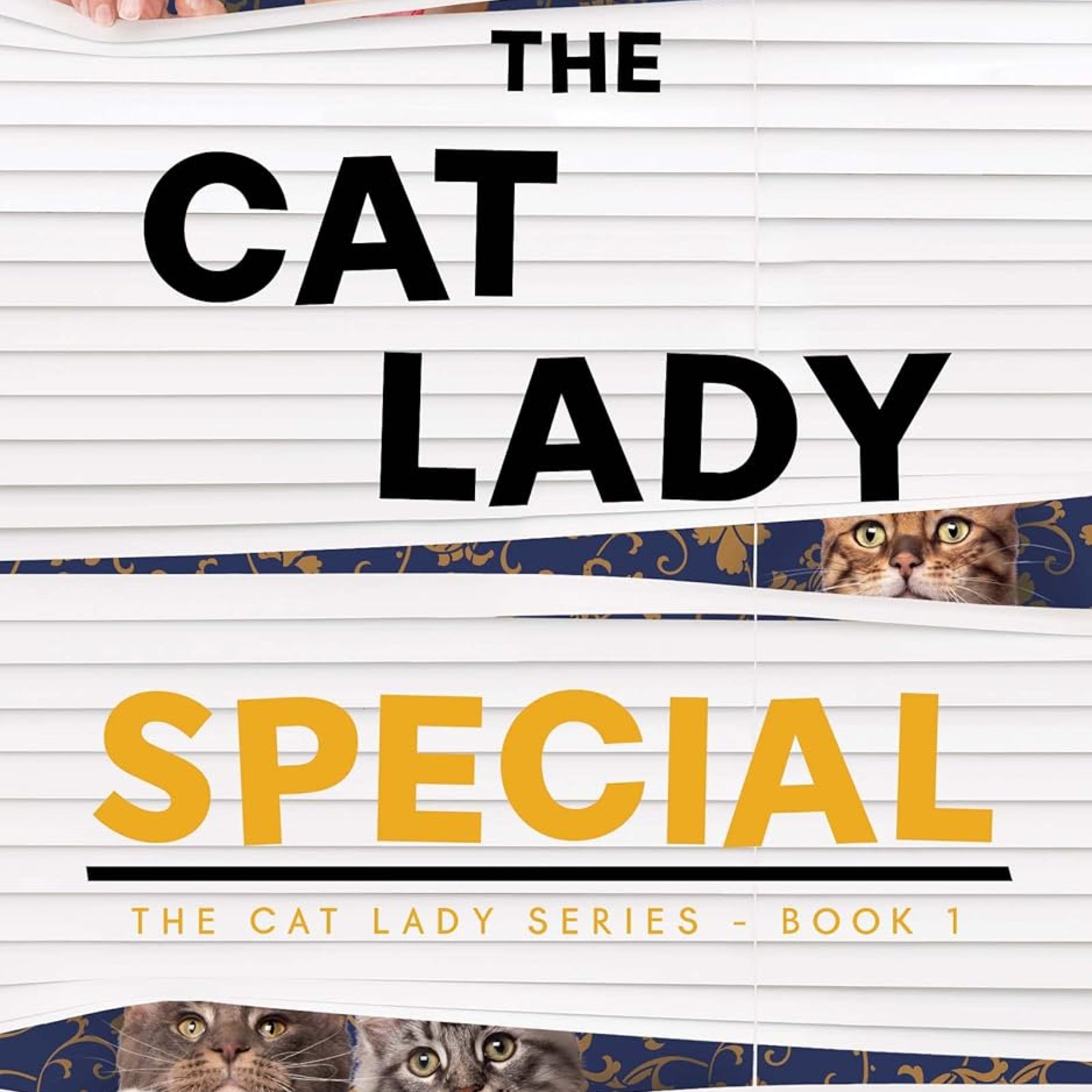 Cat Lady Special episode artwork