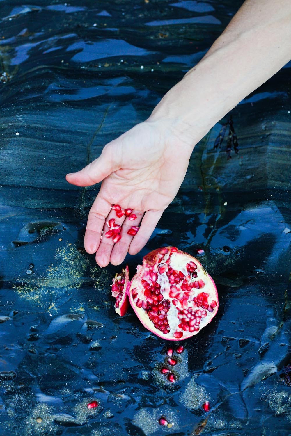 Ep 20: Making Space for Seeds in the Idea Garden