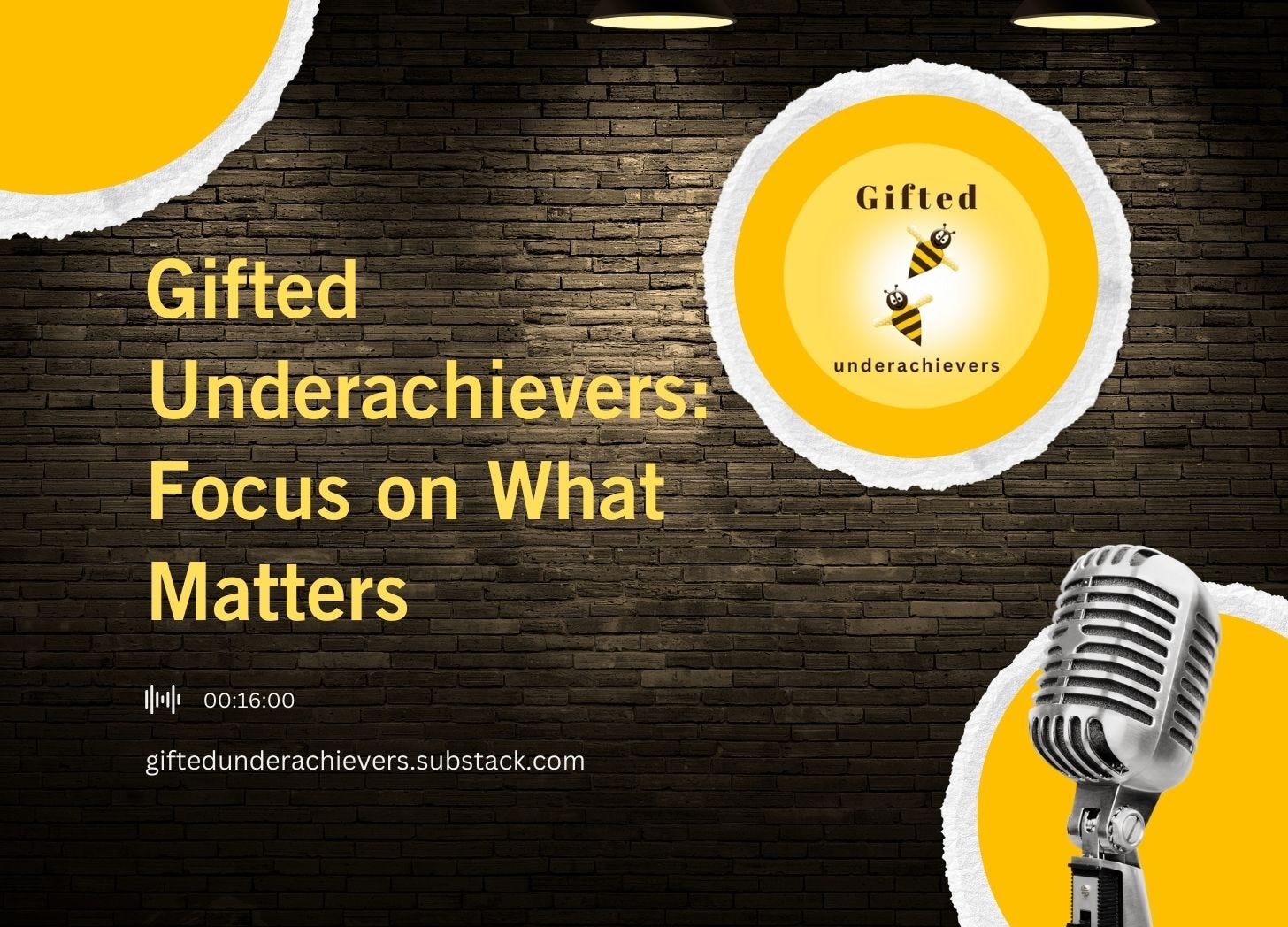 Gifted Underachievers: Focus on What Matters episode artwork