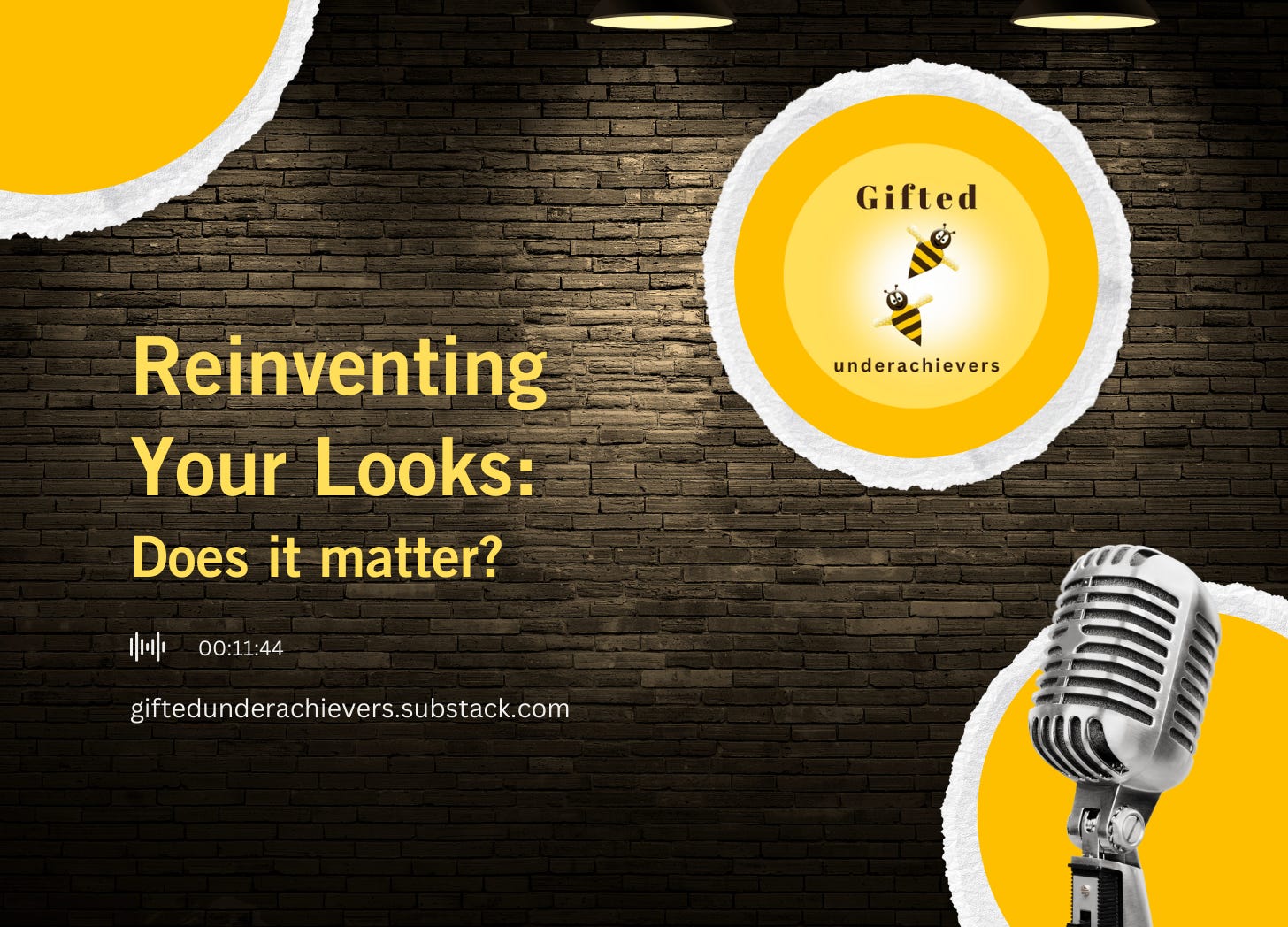 Reinventing Your Looks: Does it Matter? episode artwork