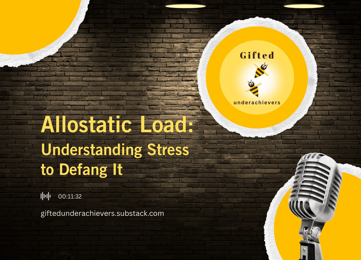 Allostatic Load: Understanding Stress to Defang It episode artwork